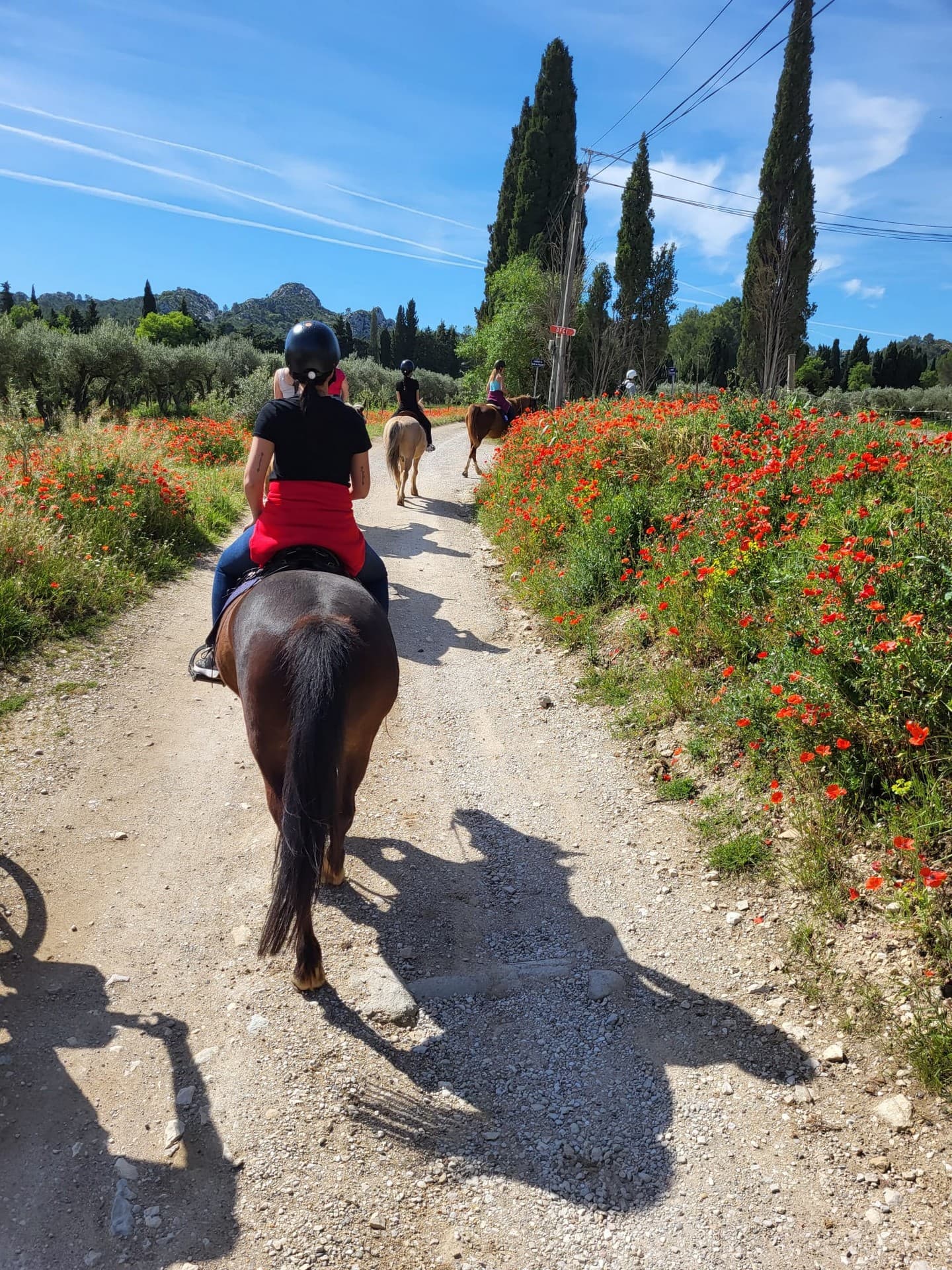 Chev'Alpilles - Balade à cheval à Saint-Rémy-de-Provence