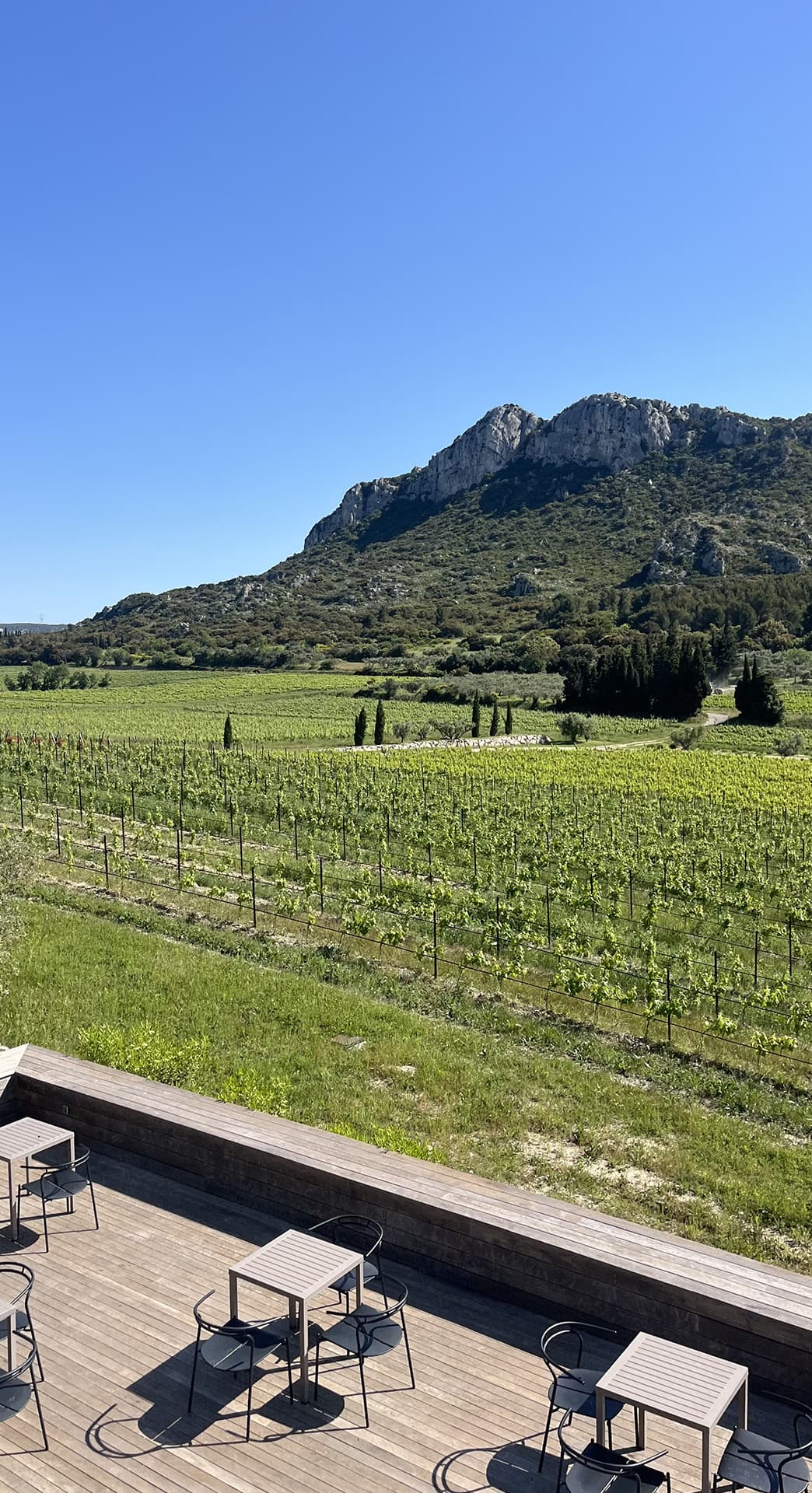 La Terrasse du Vallon des Glauges_Eyguières