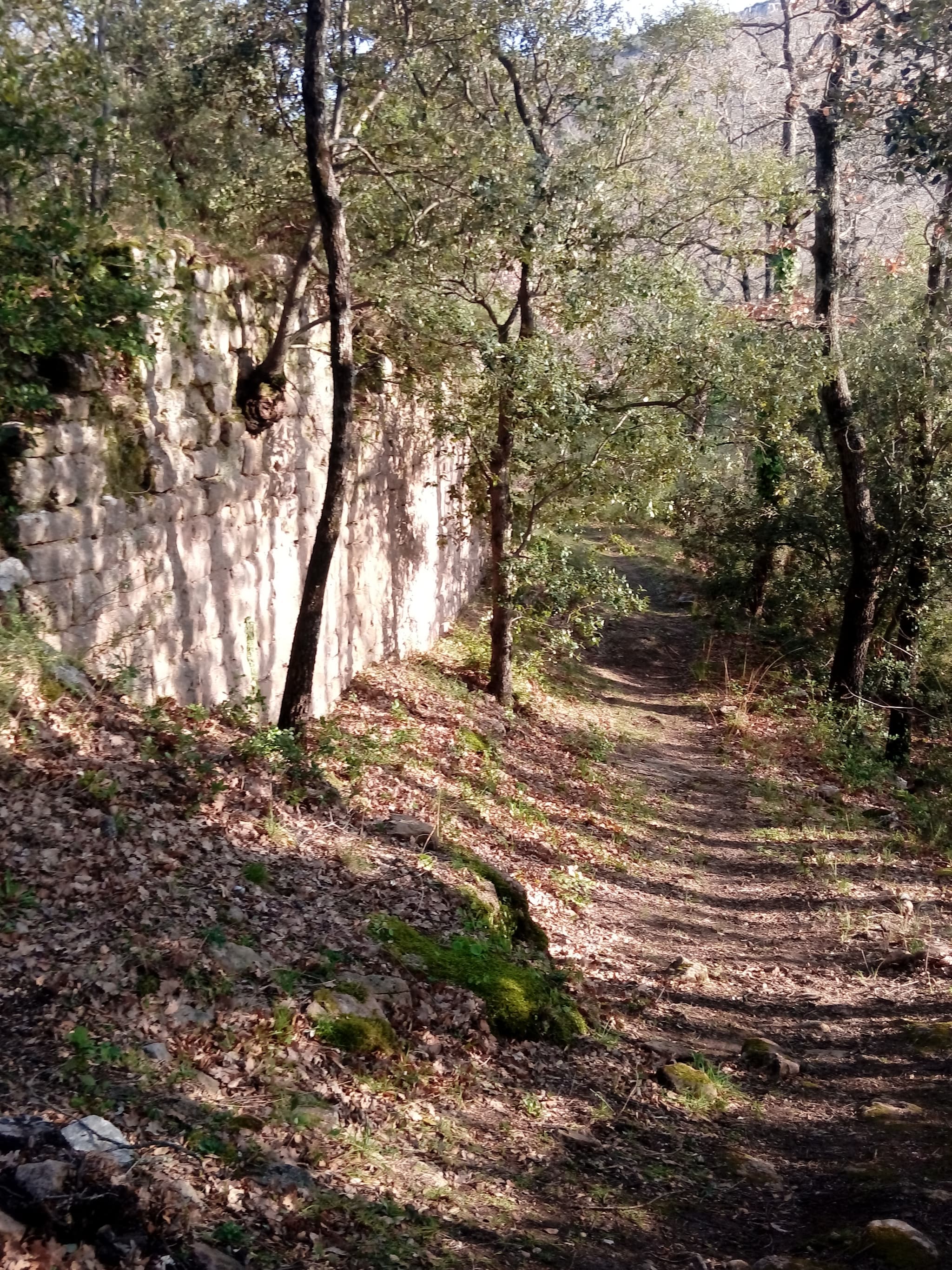Randonnée "Le Castrum Saint-Michel"