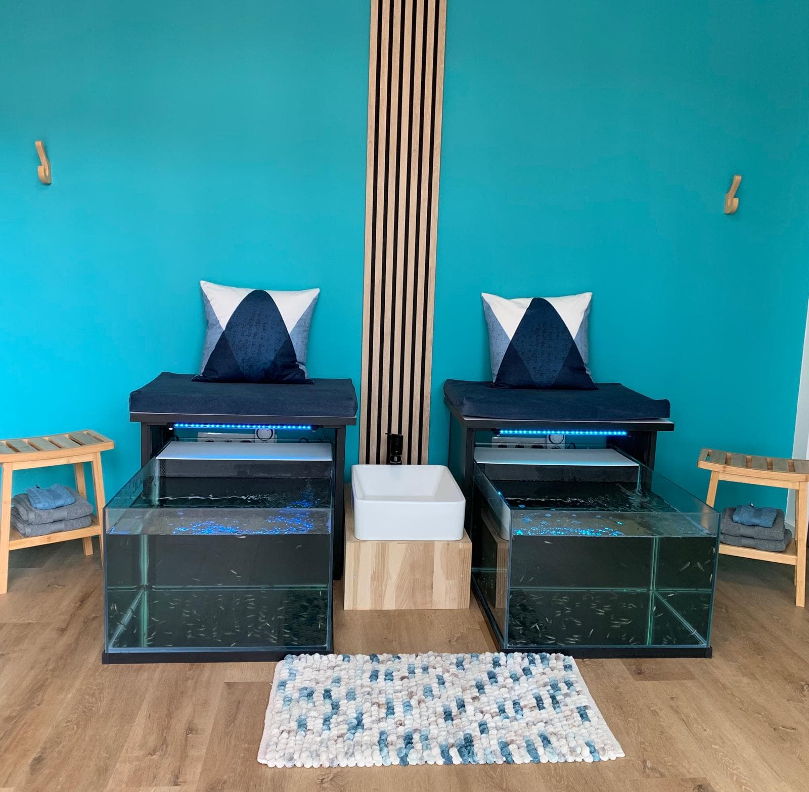IRIS ET WILLY SPA_Sénas