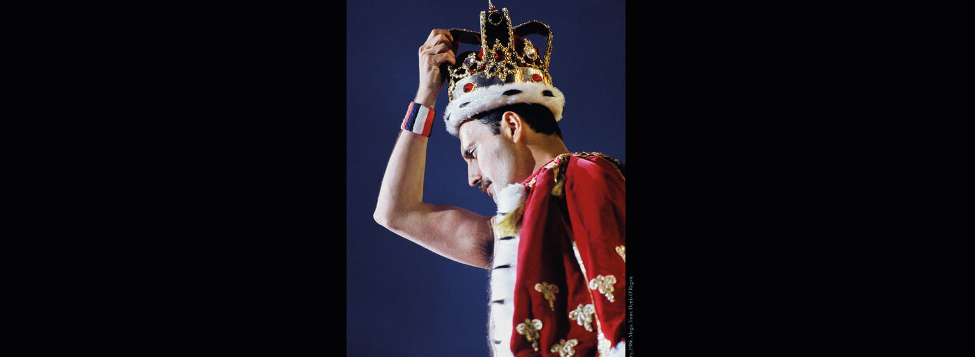 Exposition : Freddie Mercury, ne dis jamais adieu_Saint-Rémy-de-Provence