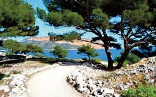 13T2001639_1_WEB.jpg
