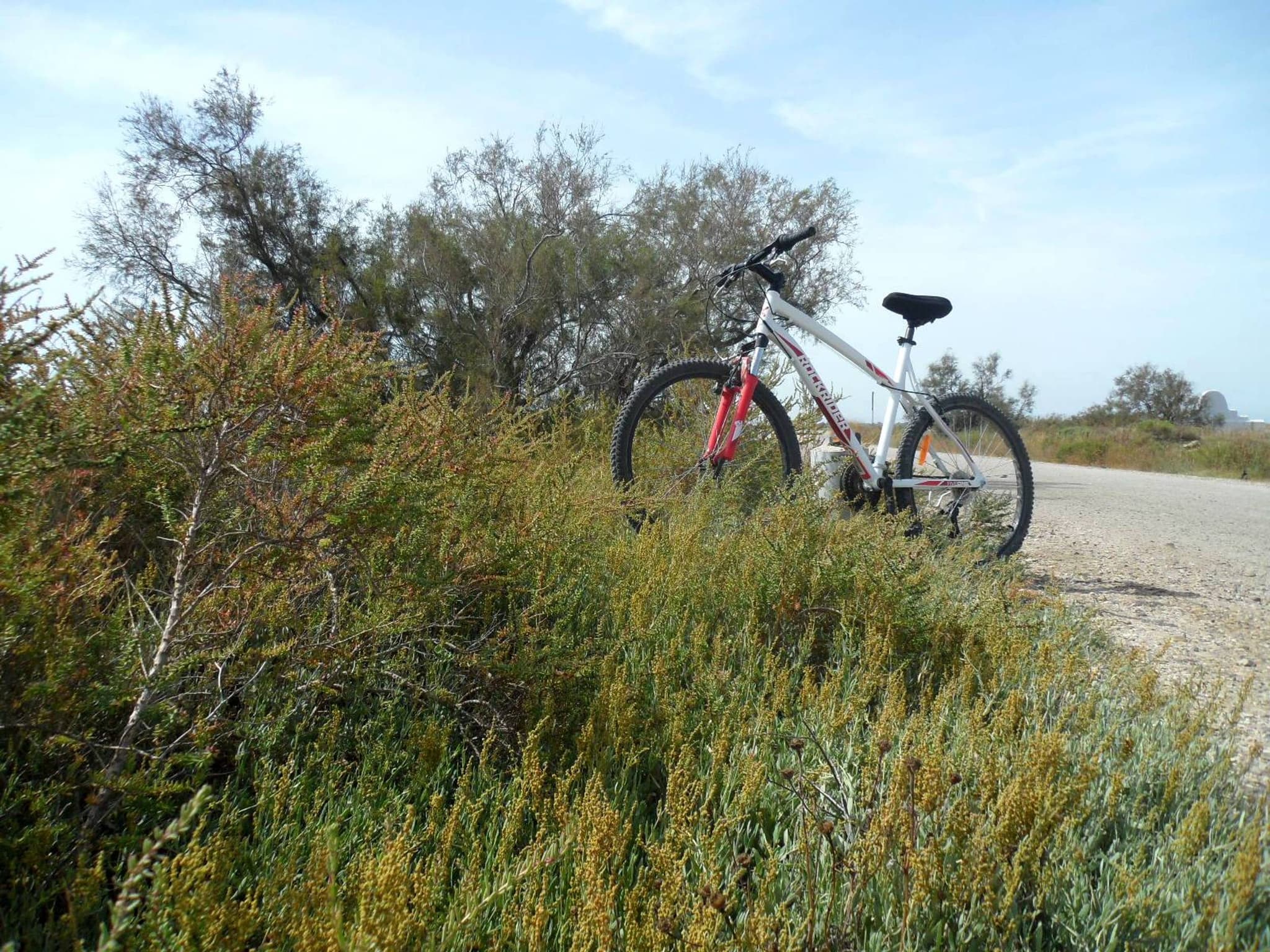 SAINTS-MARIES-DE-LA-MER - À vélo, du bac du Sauvage à Cacharel