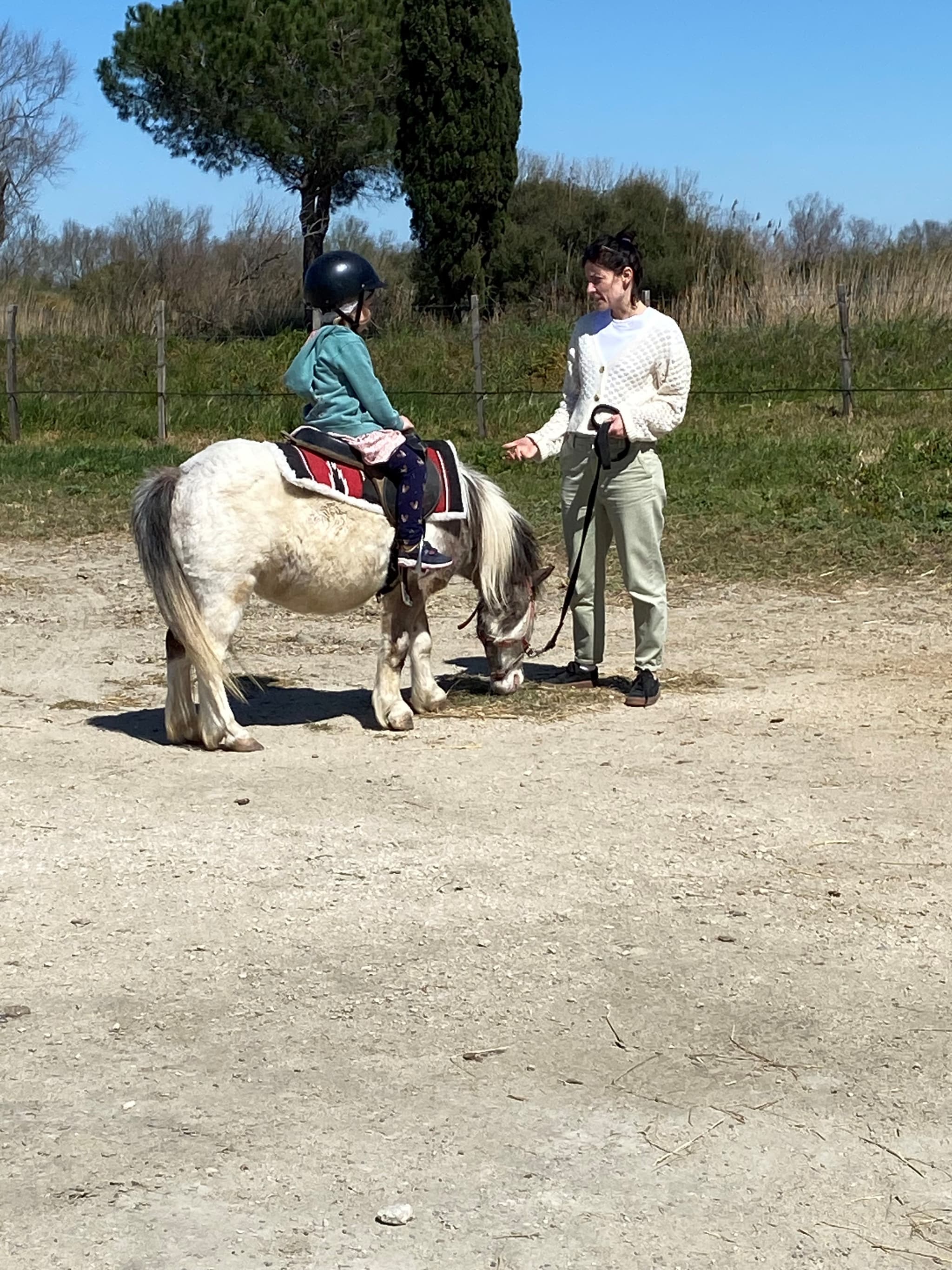 Promenades à cheval - Layalle