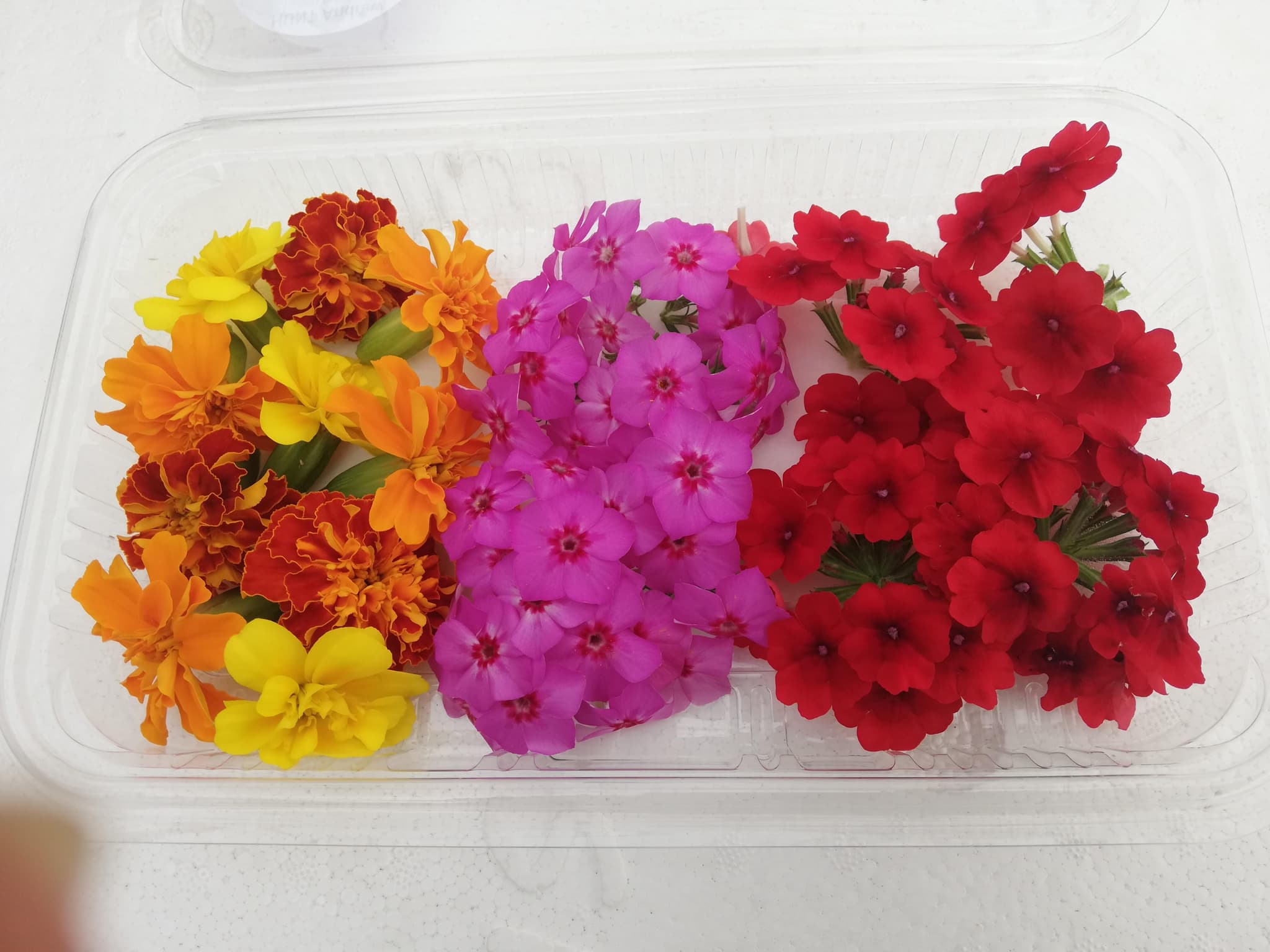 Fleurs comestibles de Provence