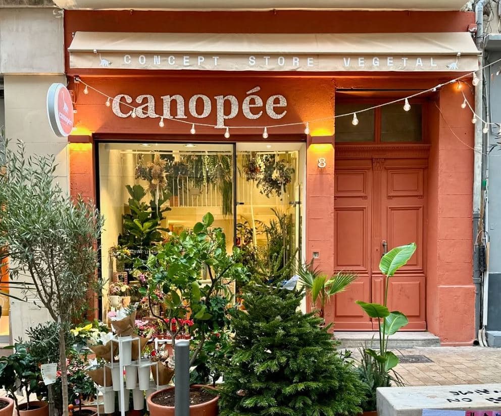 Fleuriste Canopée Marseille