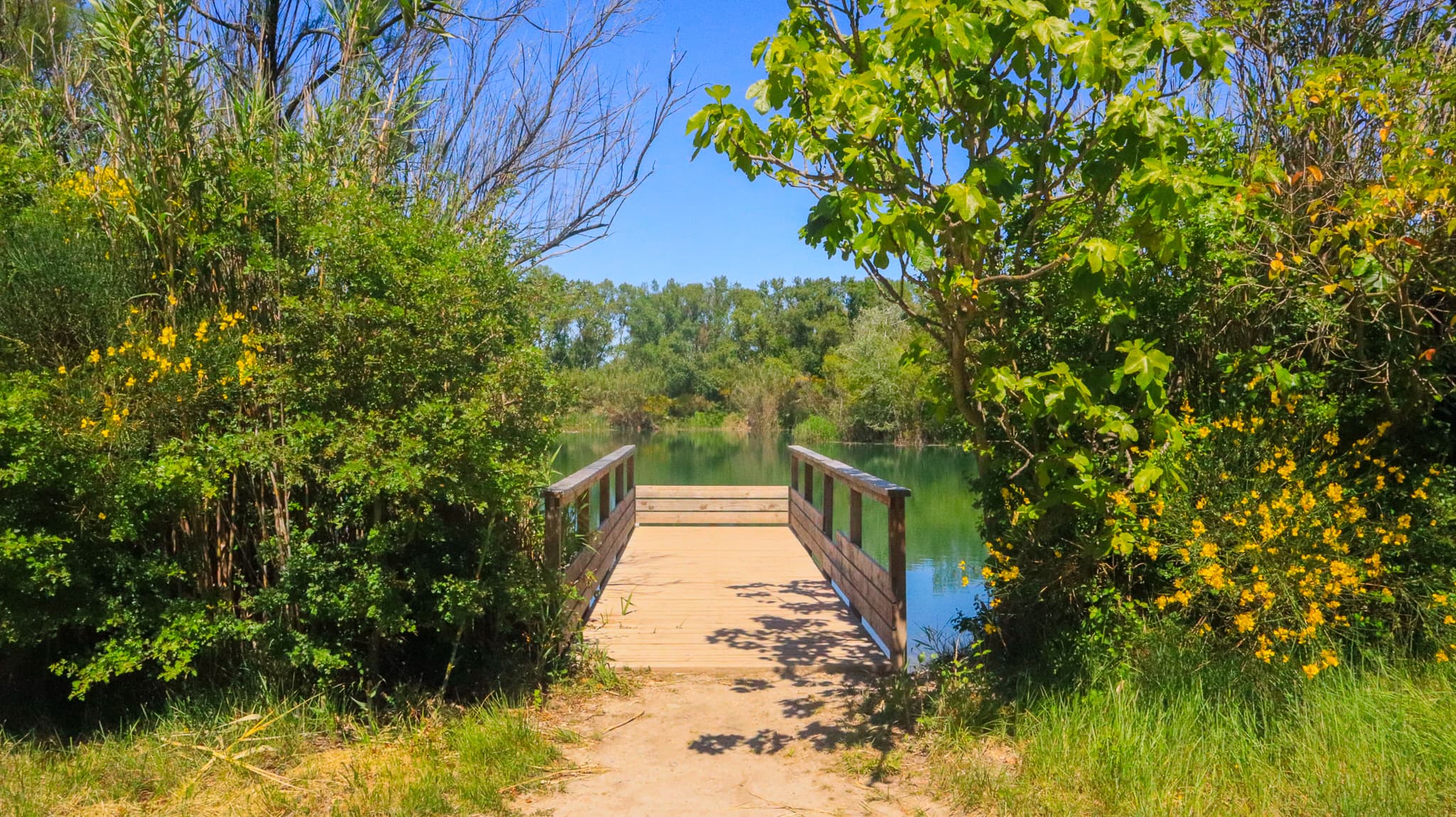 Lac des Iscles_Noves