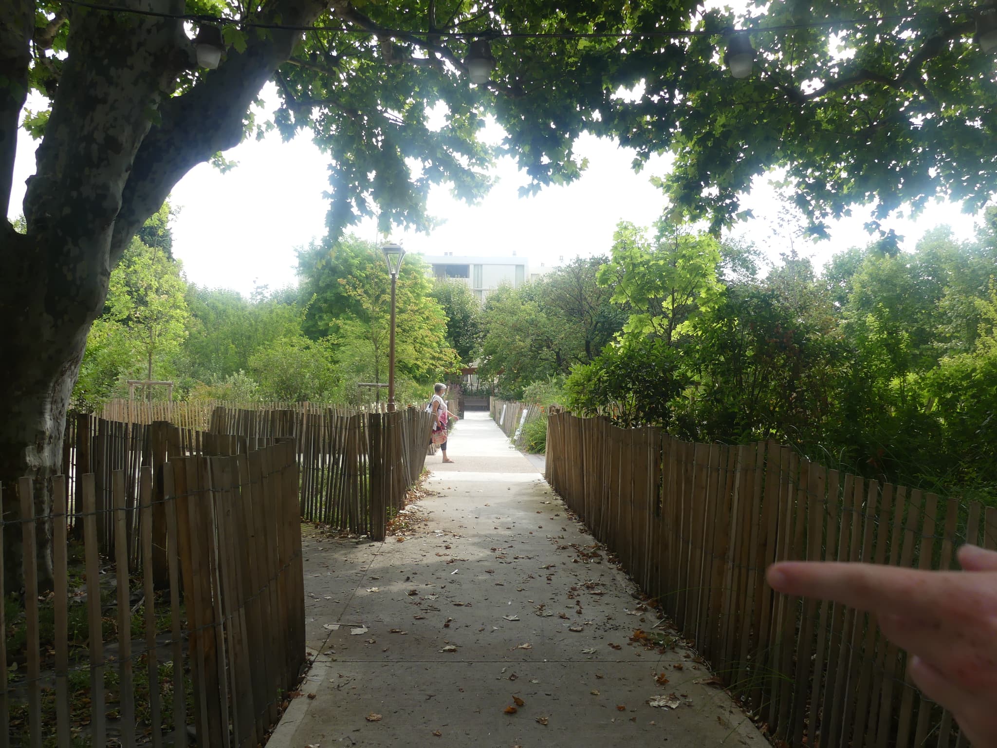 Parc Salvadore Dali