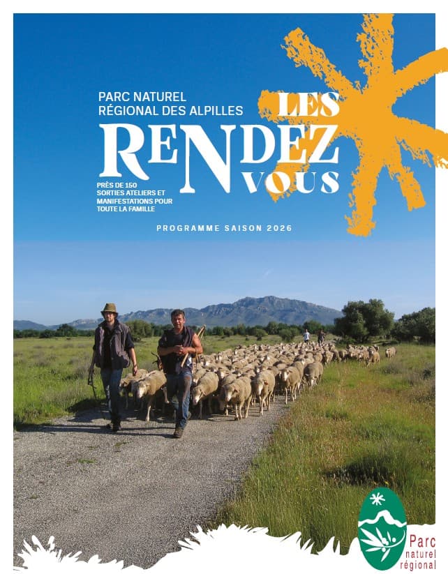 Visite gourmande : Les amandes des Alpilles_Saint-Rémy-de-Provence
