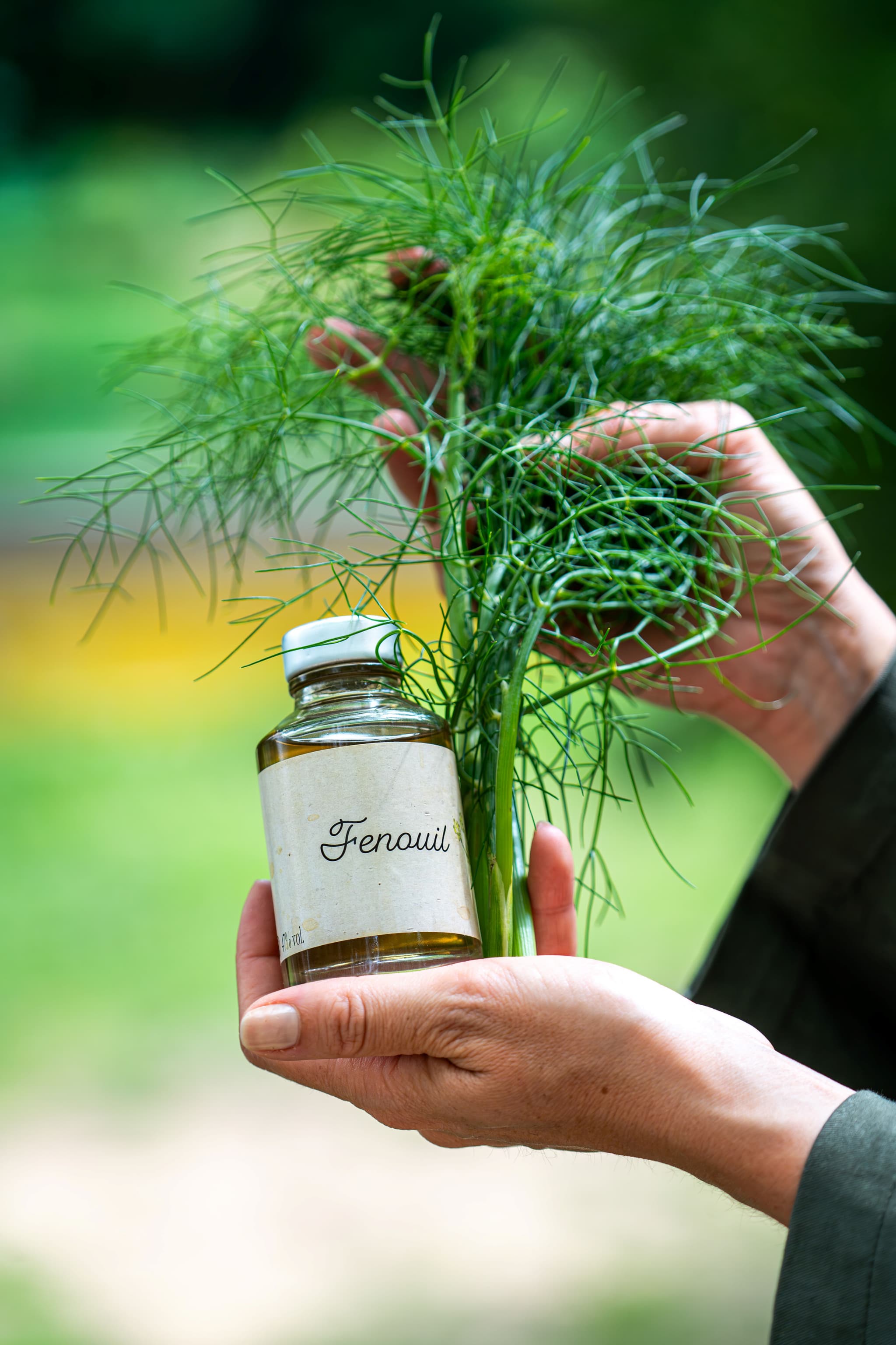 Visite guidée de la Maison Ferroni_Aubagne