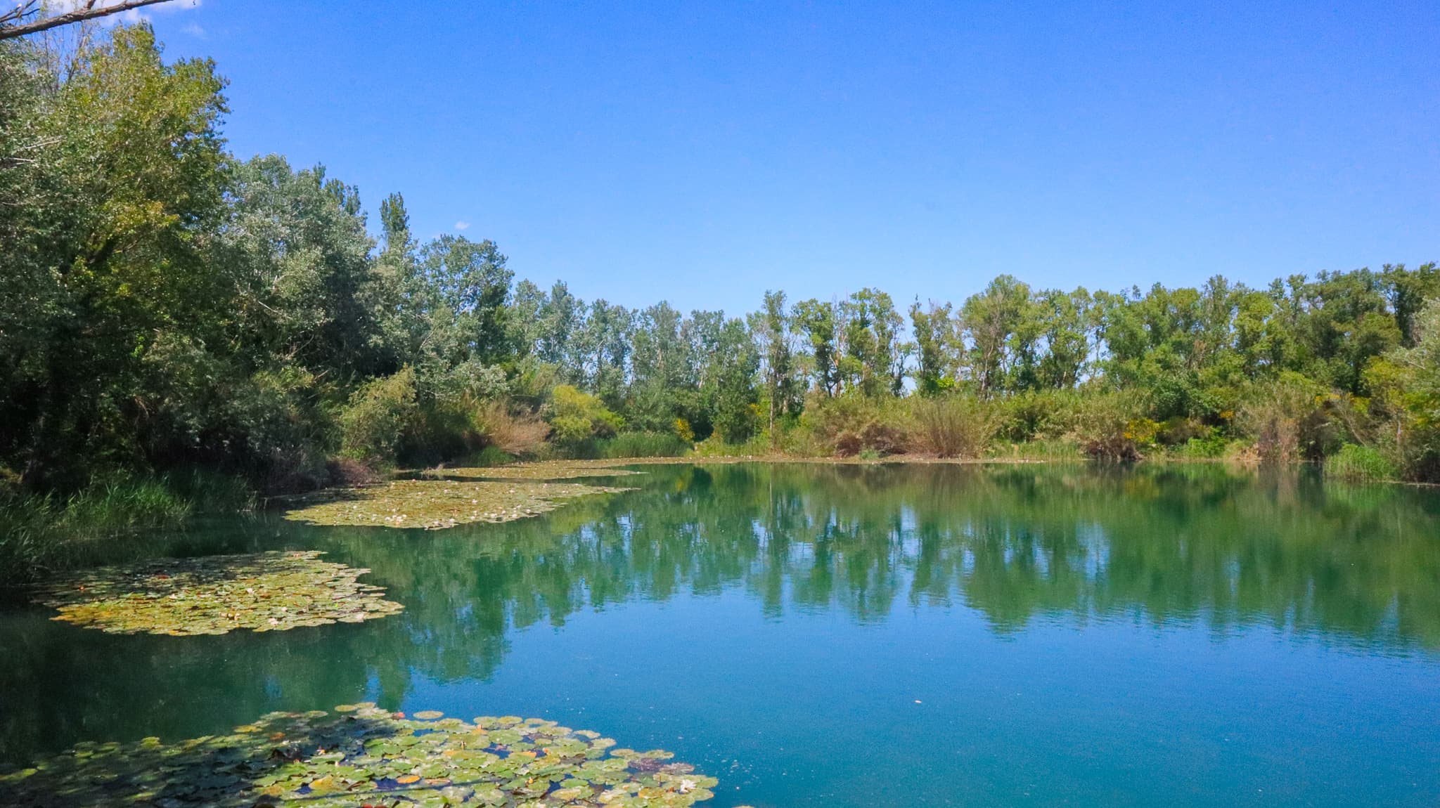 Lac des Iscles_Noves