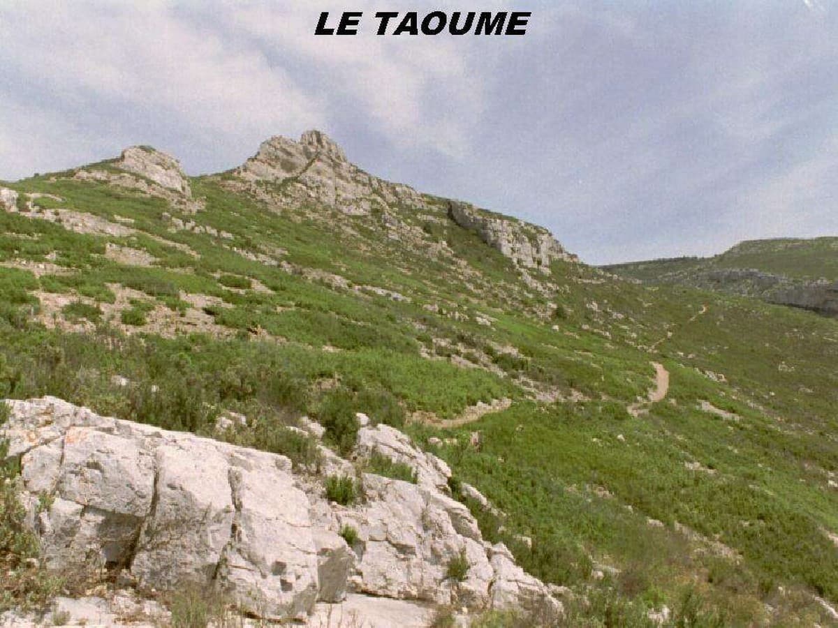 Le Taoumé