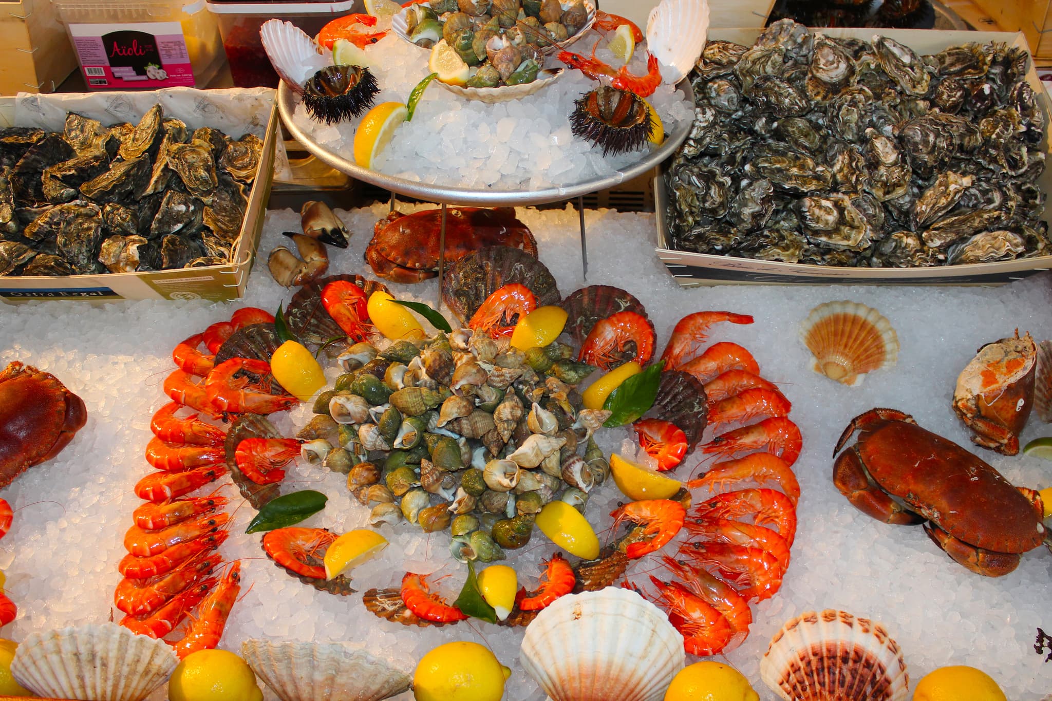 Restaurant Coquille bistrot marin Marseille