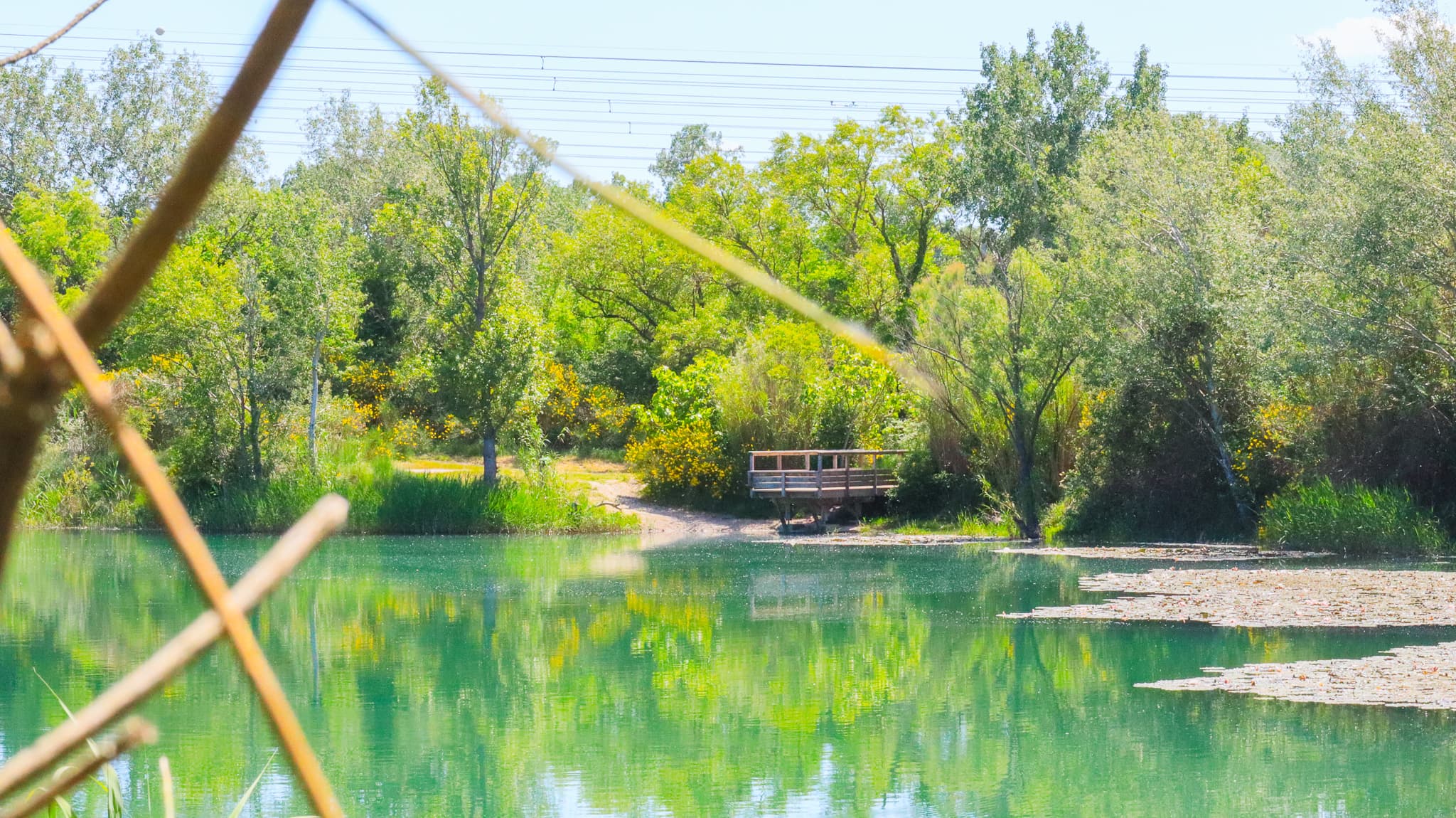 Lac des Iscles_Noves