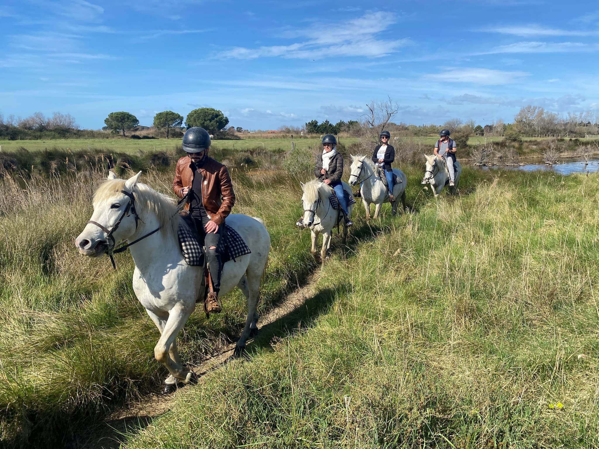 Promenades à cheval - Layalle