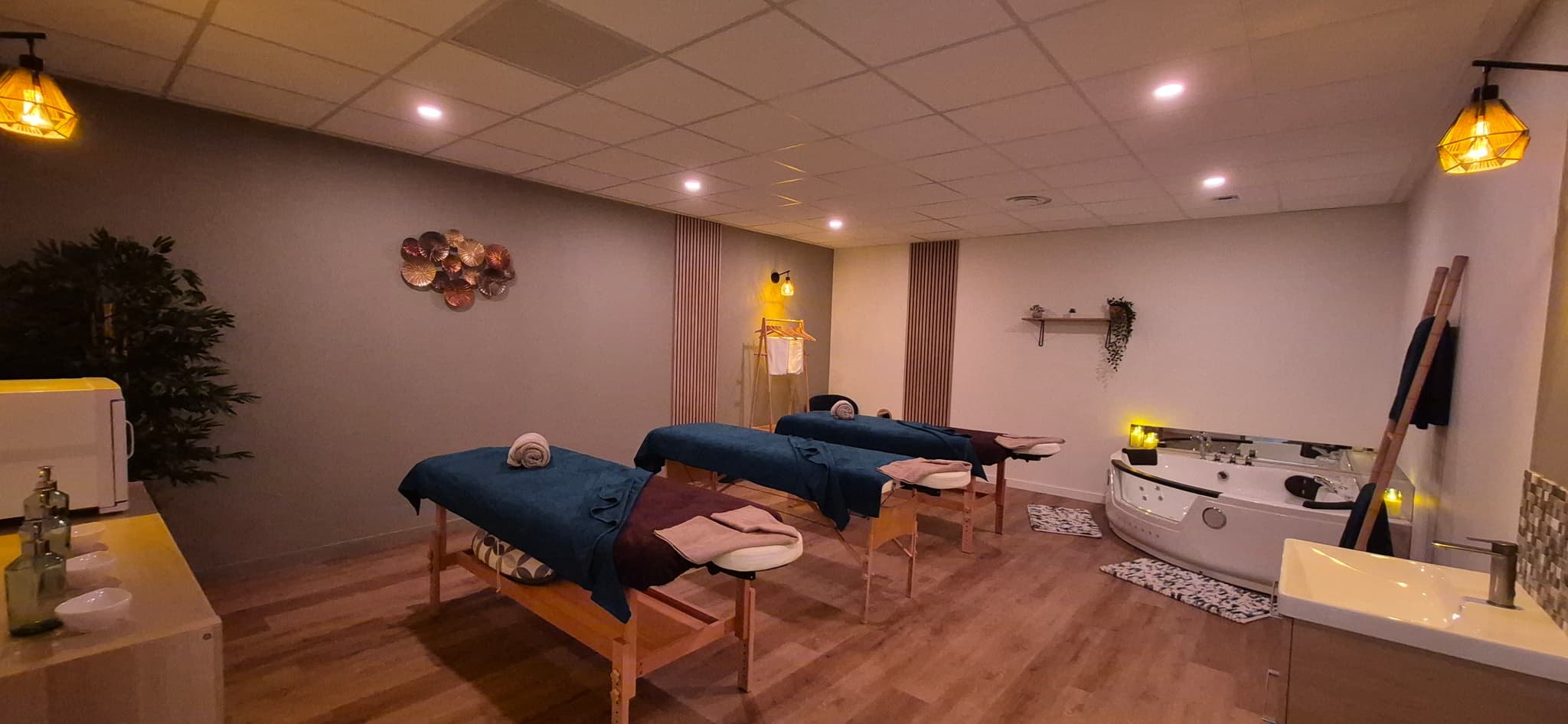IRIS ET WILLY SPA_Sénas
