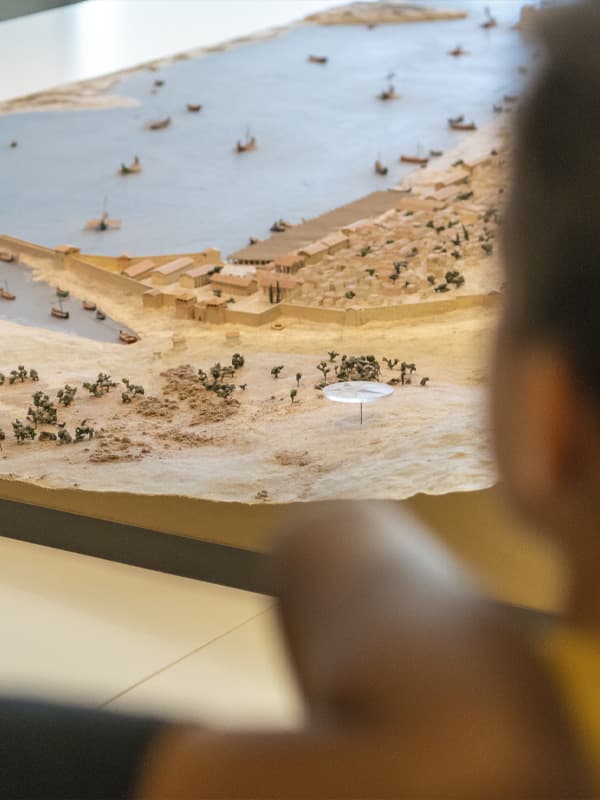 Visite en famille "Les petites bêtes du musée"_Marseille