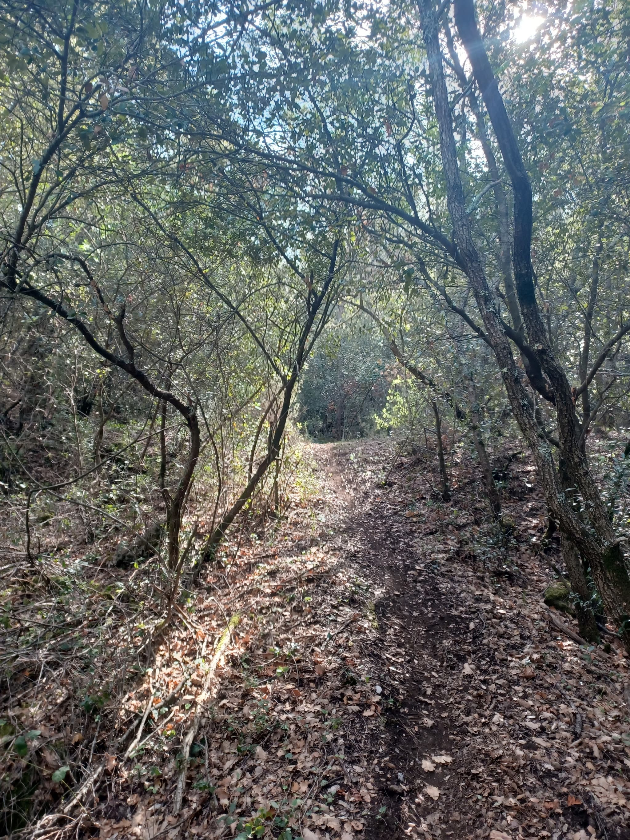 Le tour de la Lare depuis Saint Zacharie
