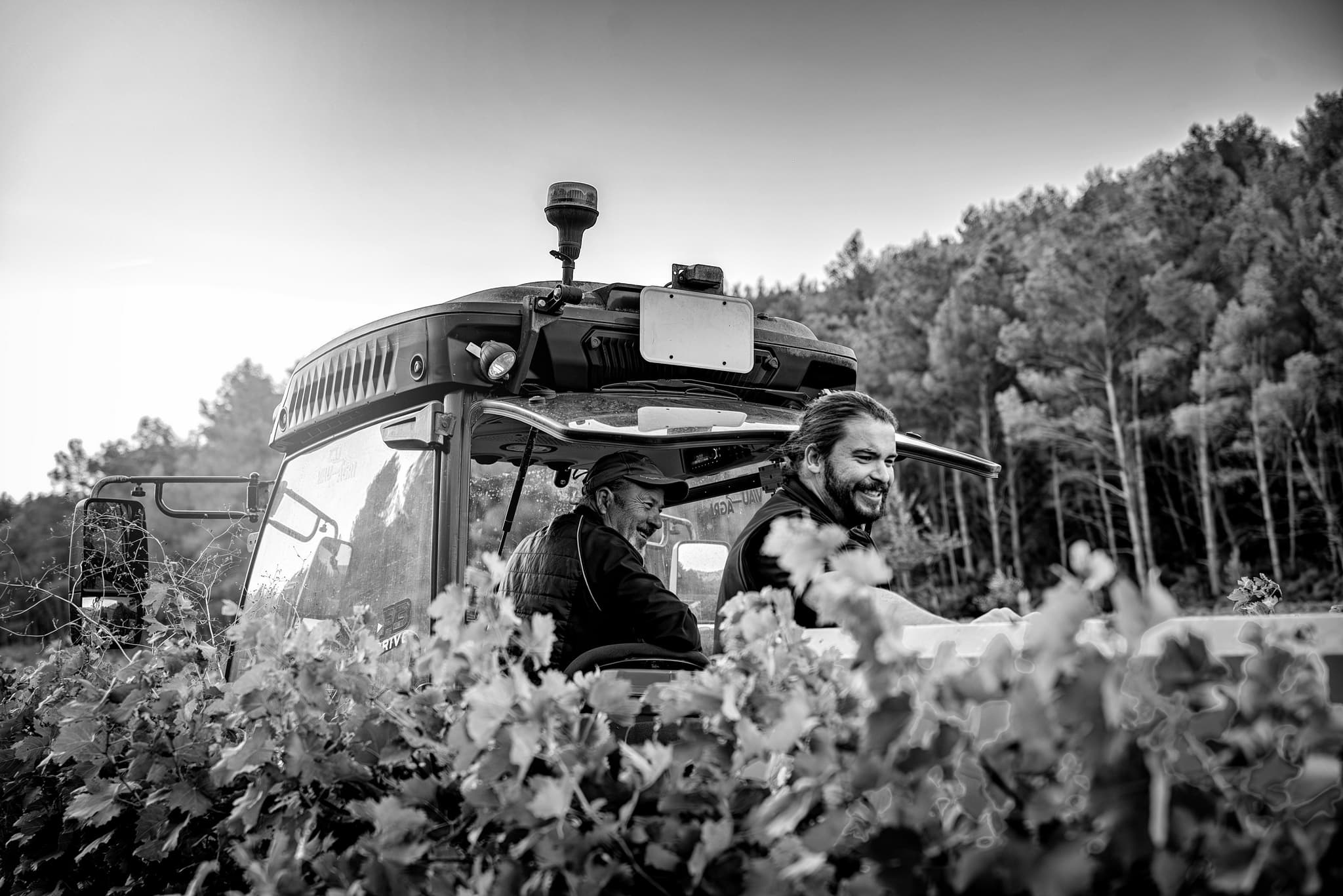 Domaine d'Eole à Eygalières Vignerons