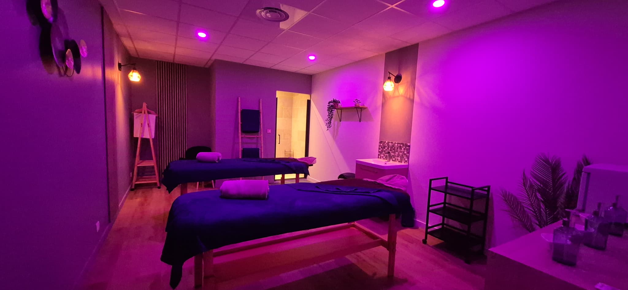 IRIS ET WILLY SPA_Sénas