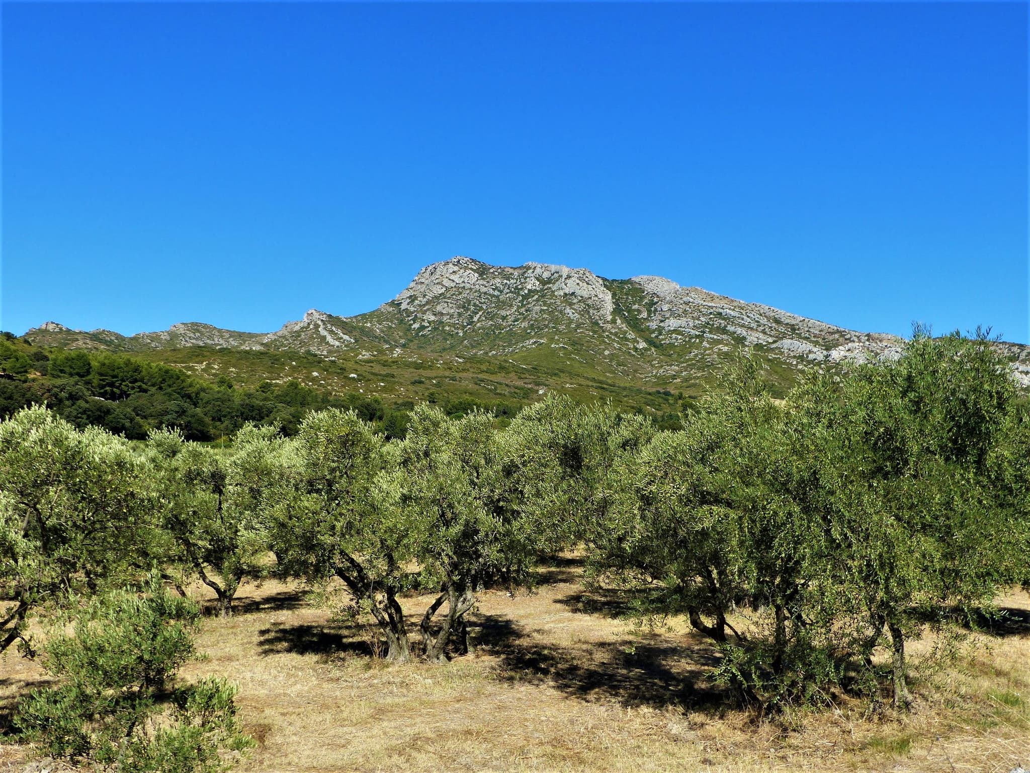 EYGUIÈRES - Vallon des Glauges