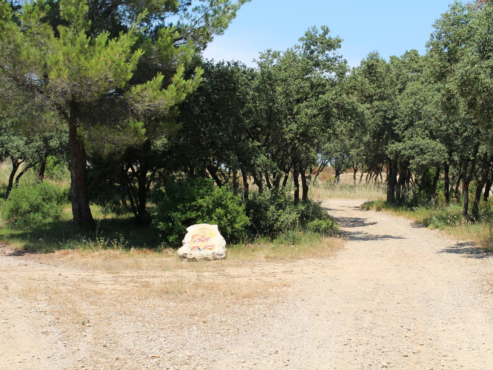 13VIS002806_1_HD.jpg