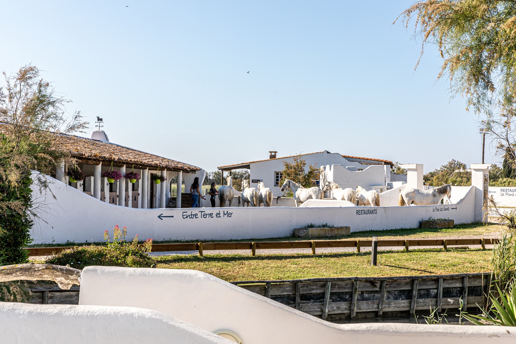 L'écurie de l'Auberge Cavalière