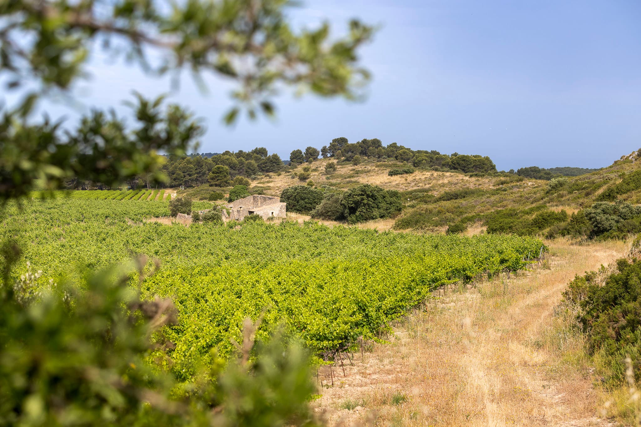 Parcours pédestre en autonomie_Lançon-Provence