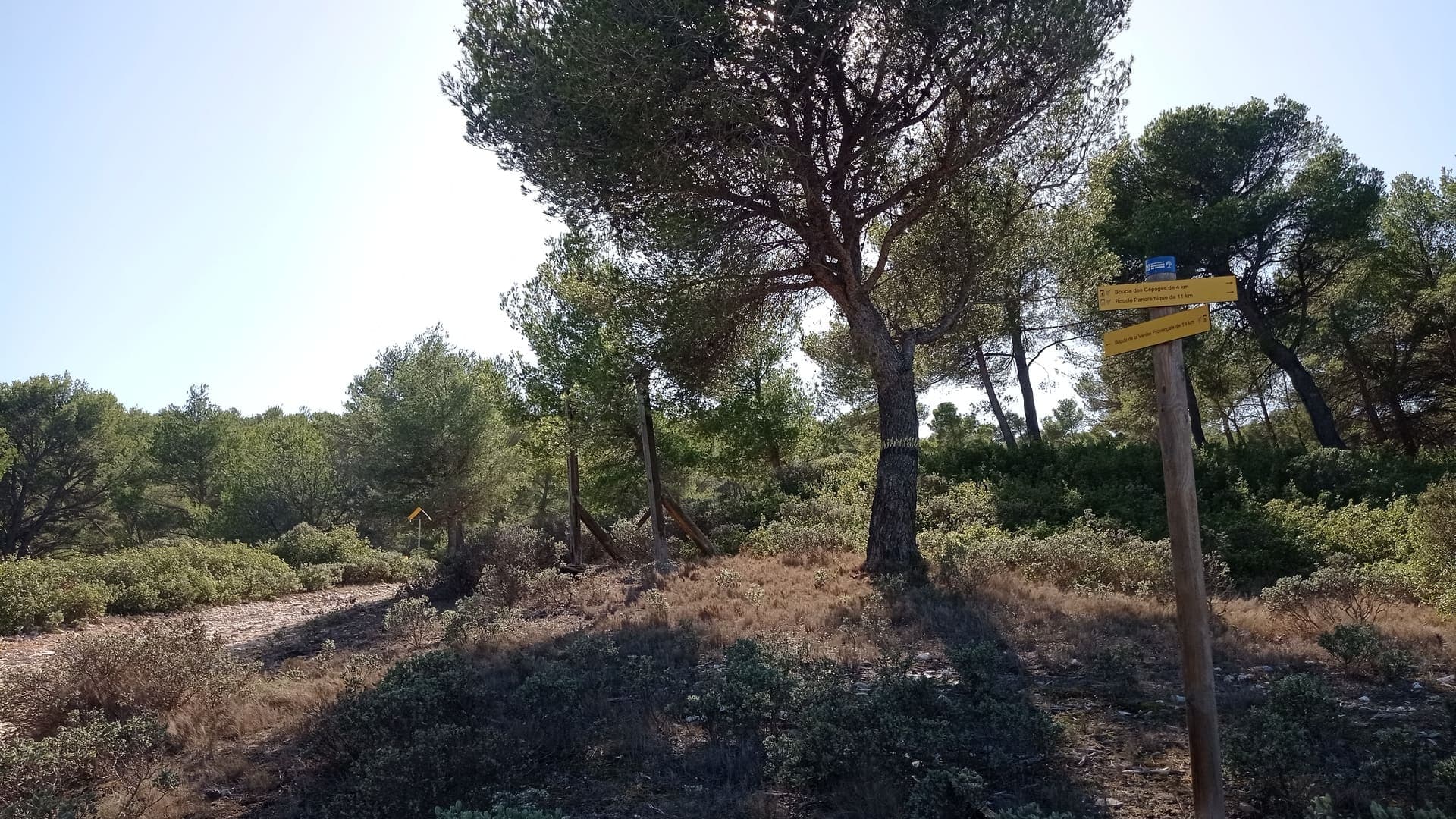 Sentier des vignerons - Boucle des cépages_Martigues