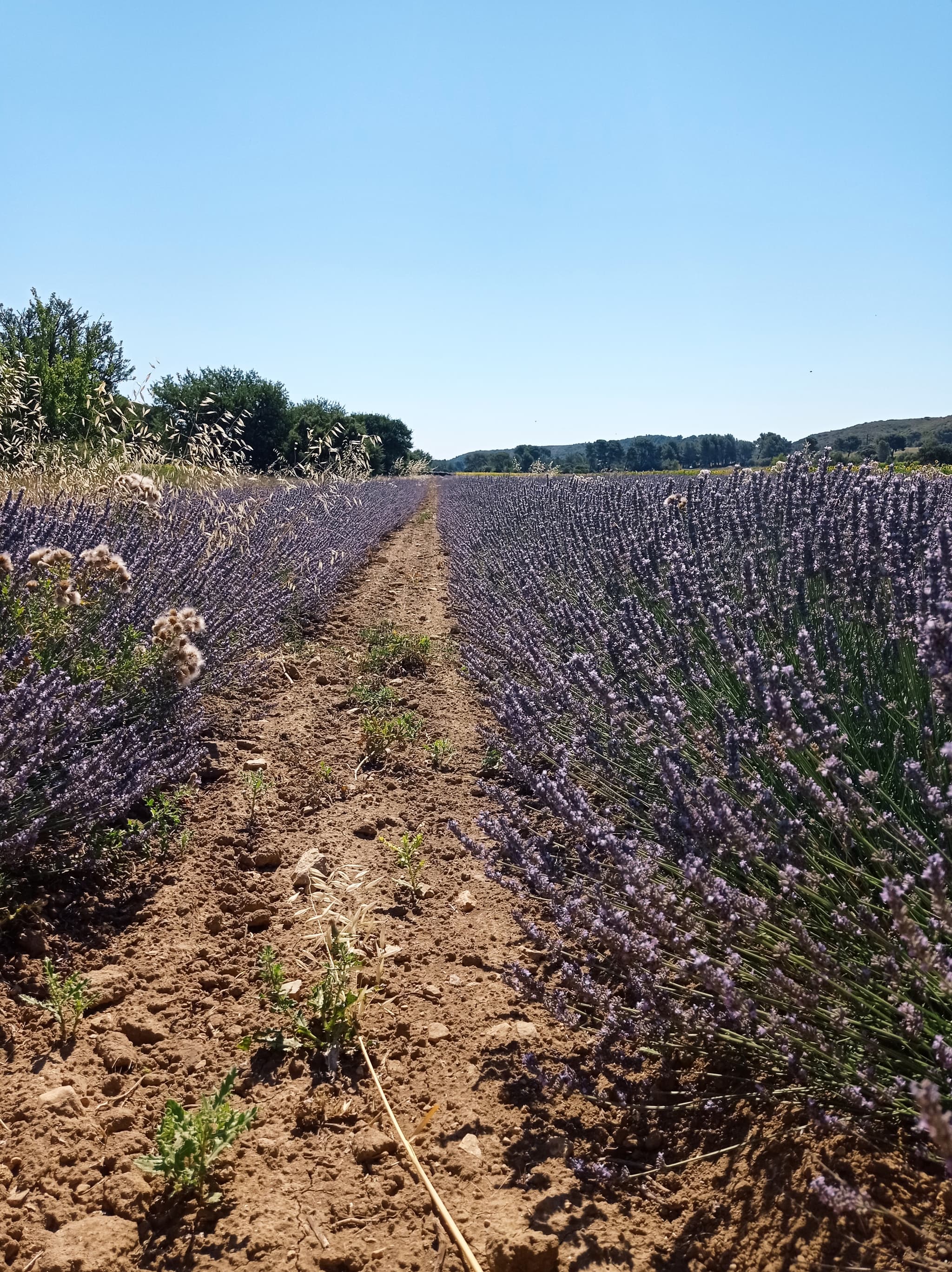 Val d'Estable