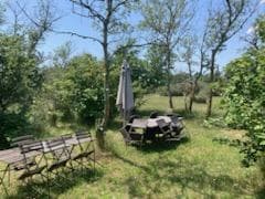 Mas Grazier_Saintes-Maries-de-la-Mer