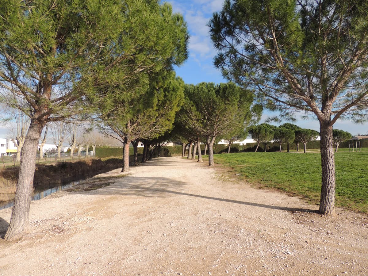 Parcours de santé