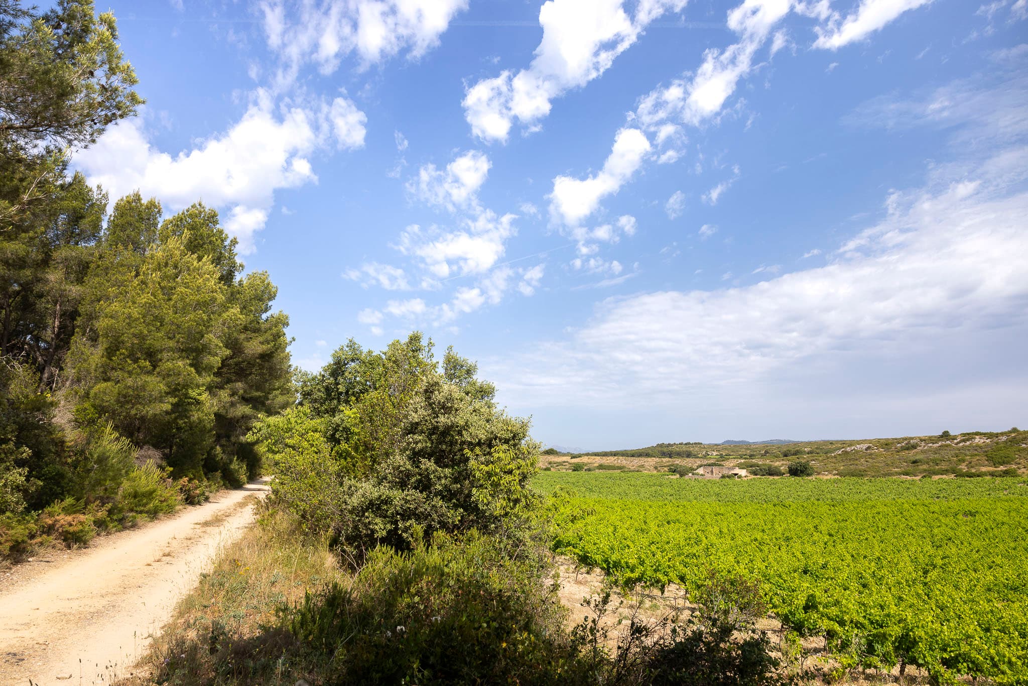Parcours pédestre en autonomie_Lançon-Provence