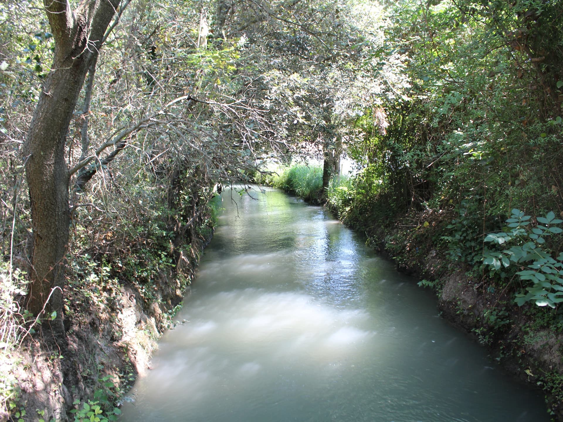13VIS002806_3_HD.jpg