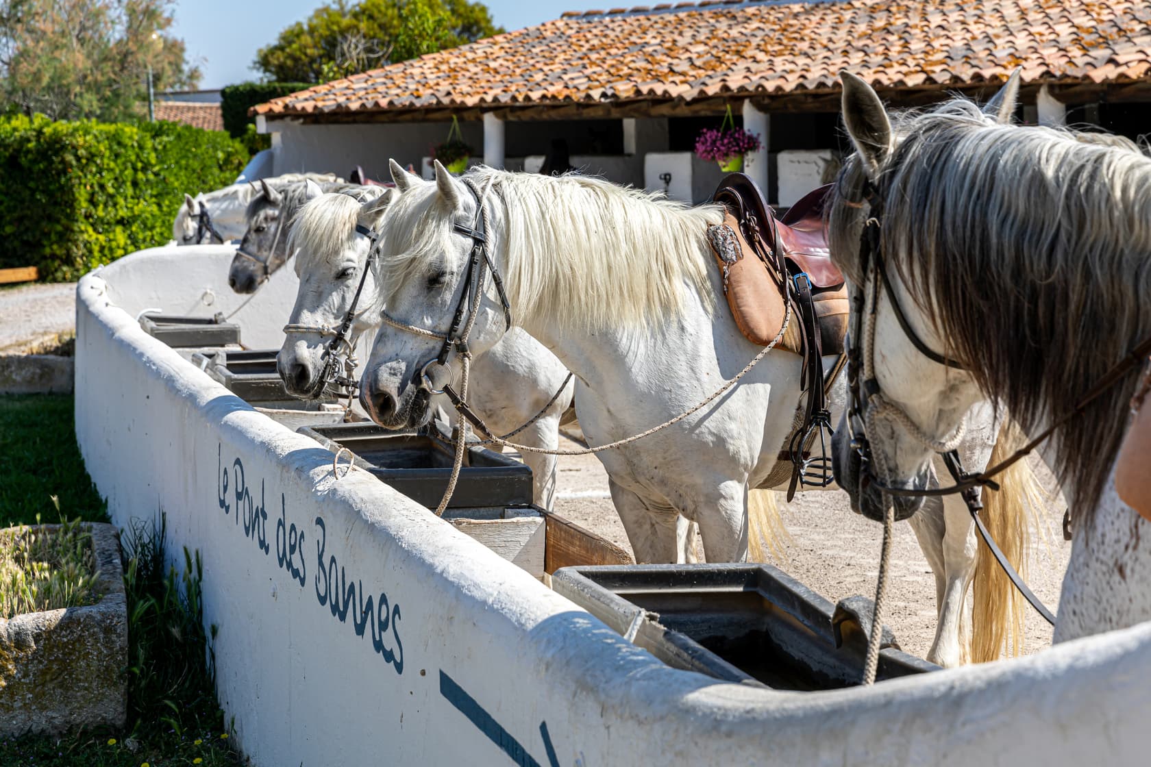 L'écurie de l'Auberge Cavalière