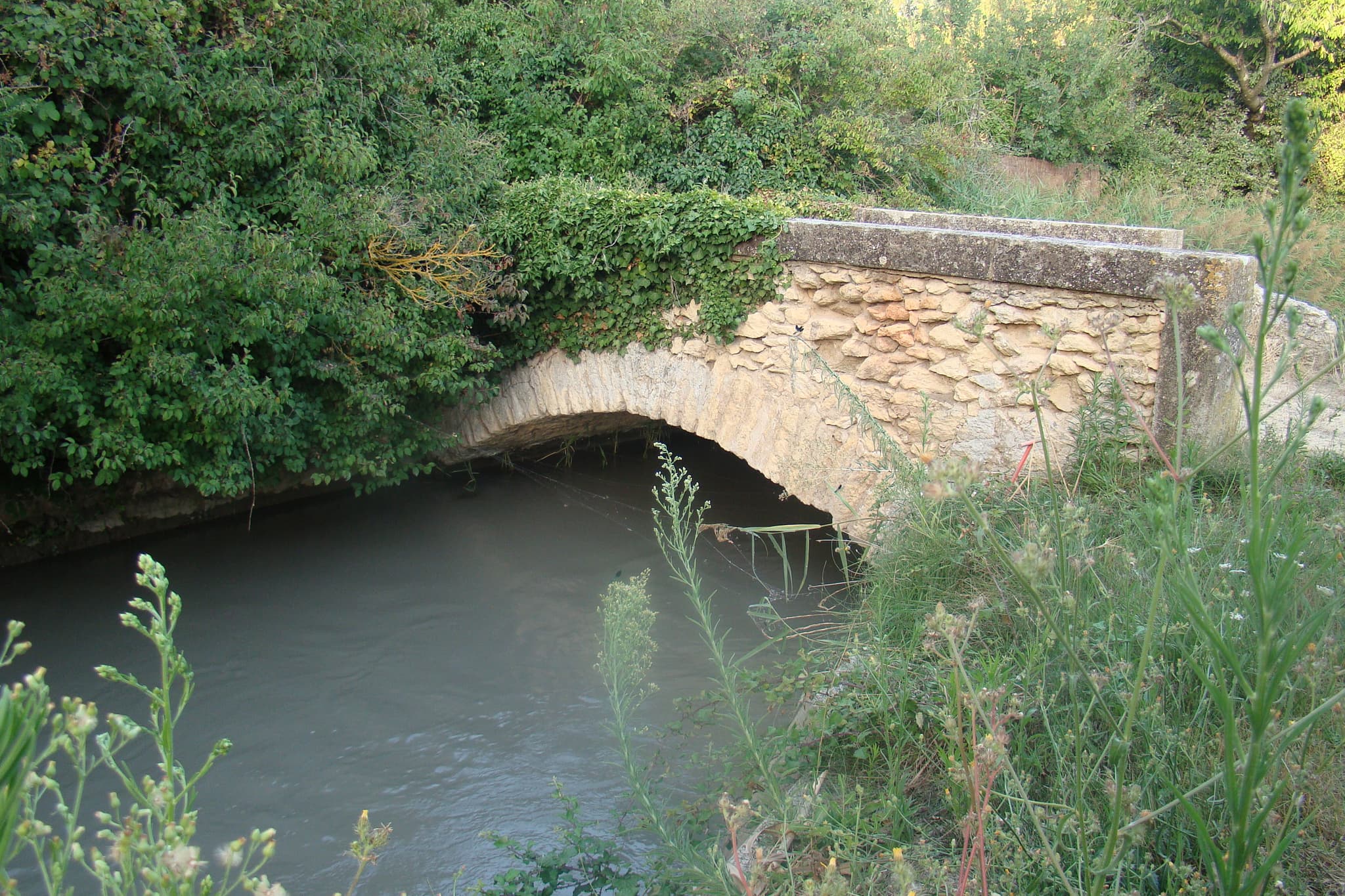 Canal