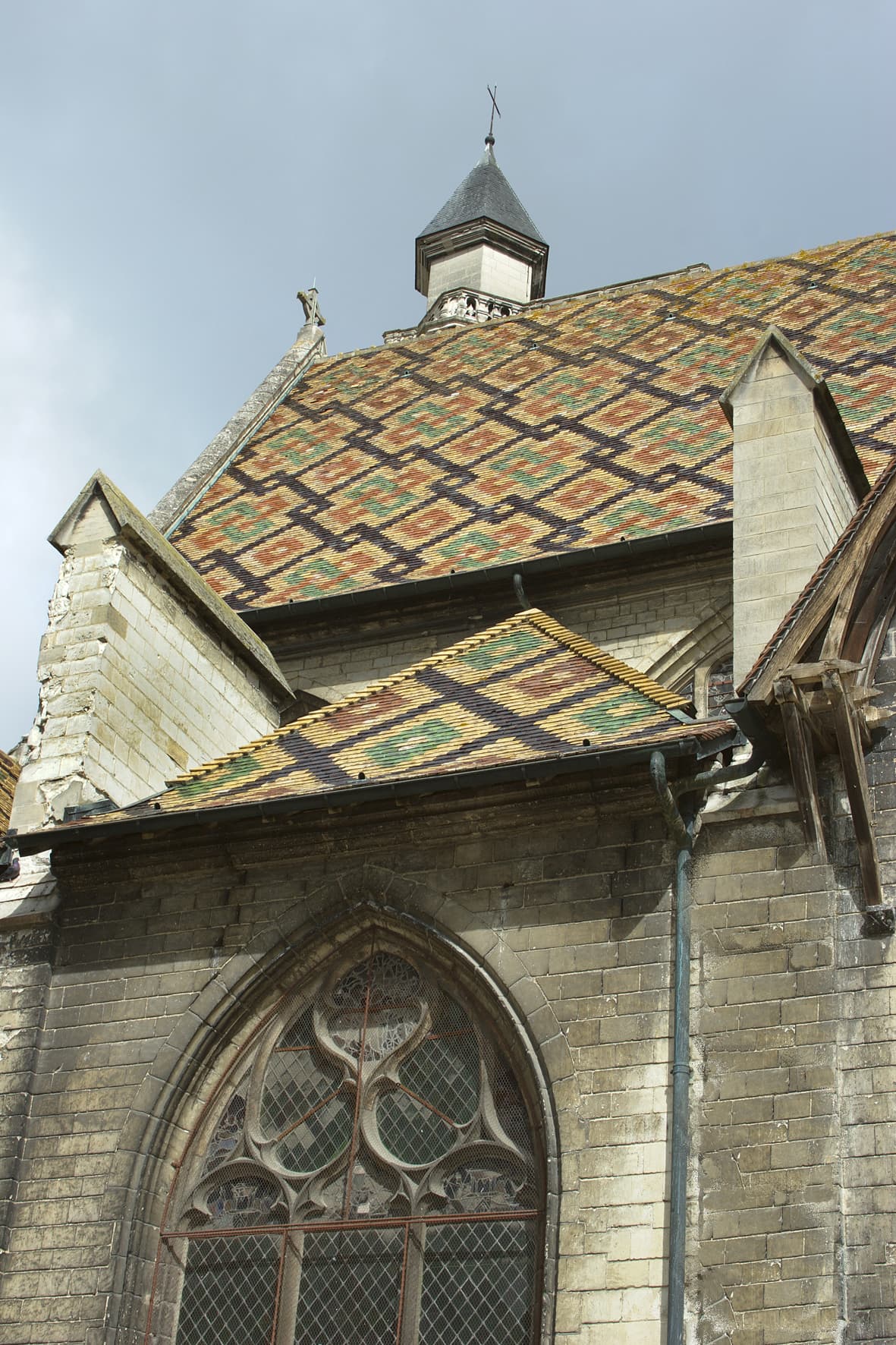 Photo_3.jpg