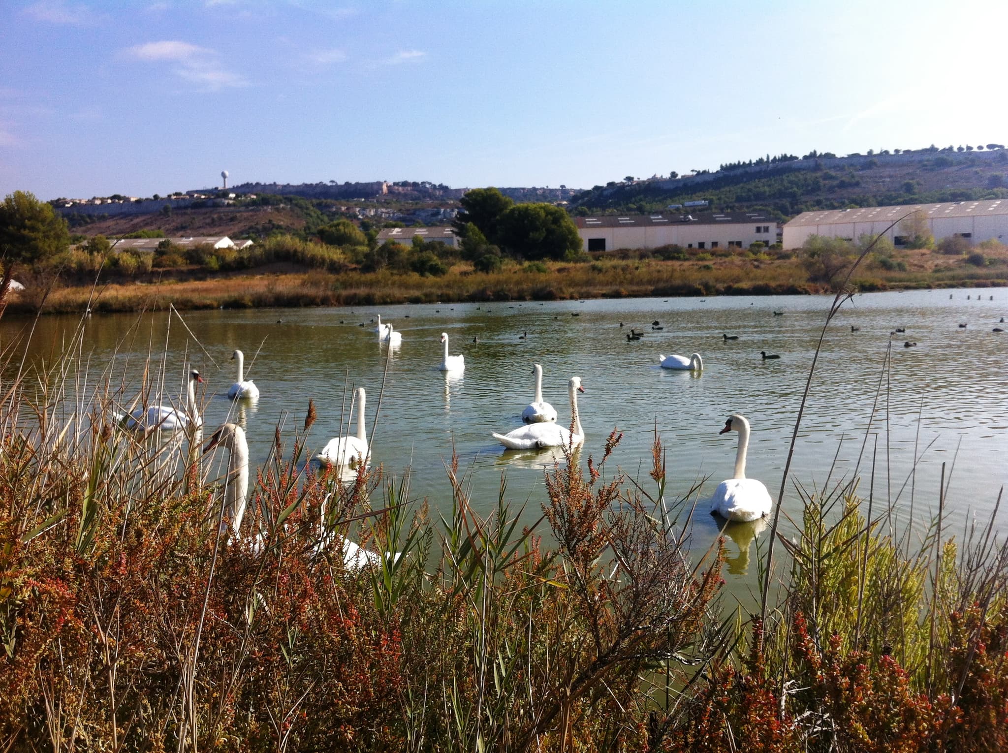 Vitrolles Tourisme Point Info