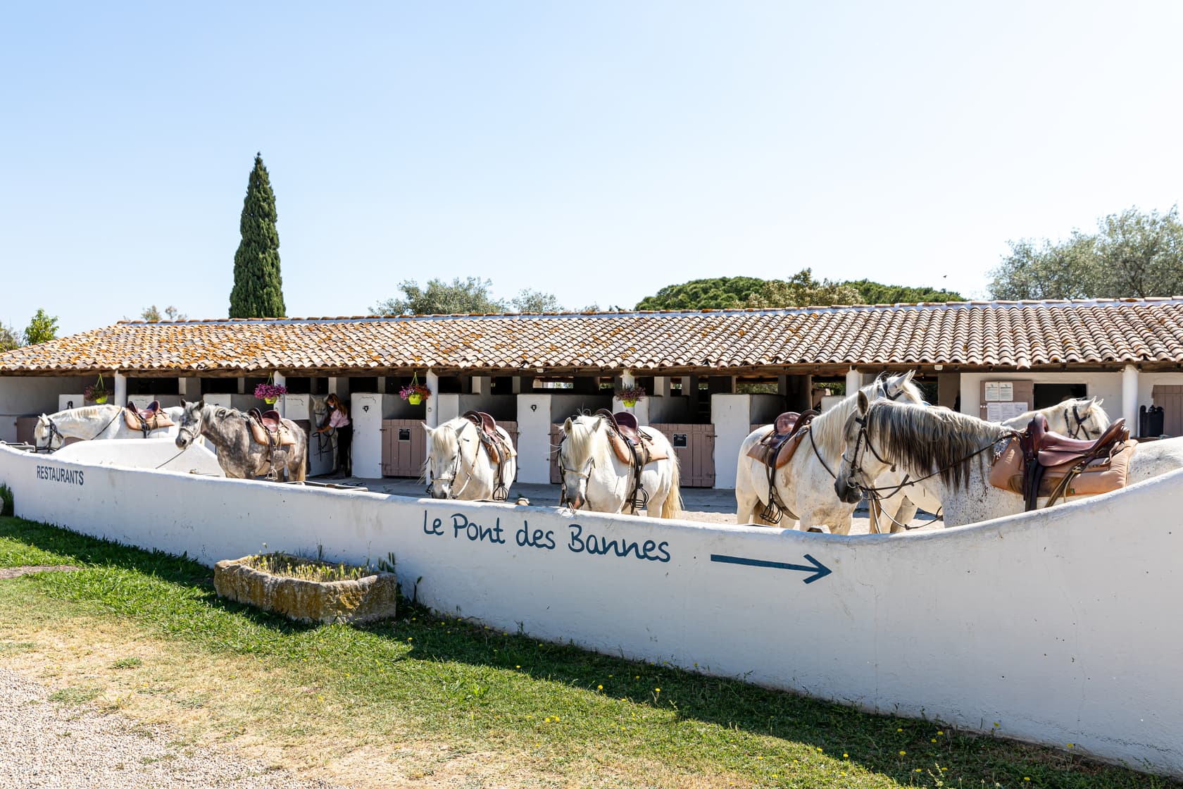 L'écurie de l'Auberge Cavalière