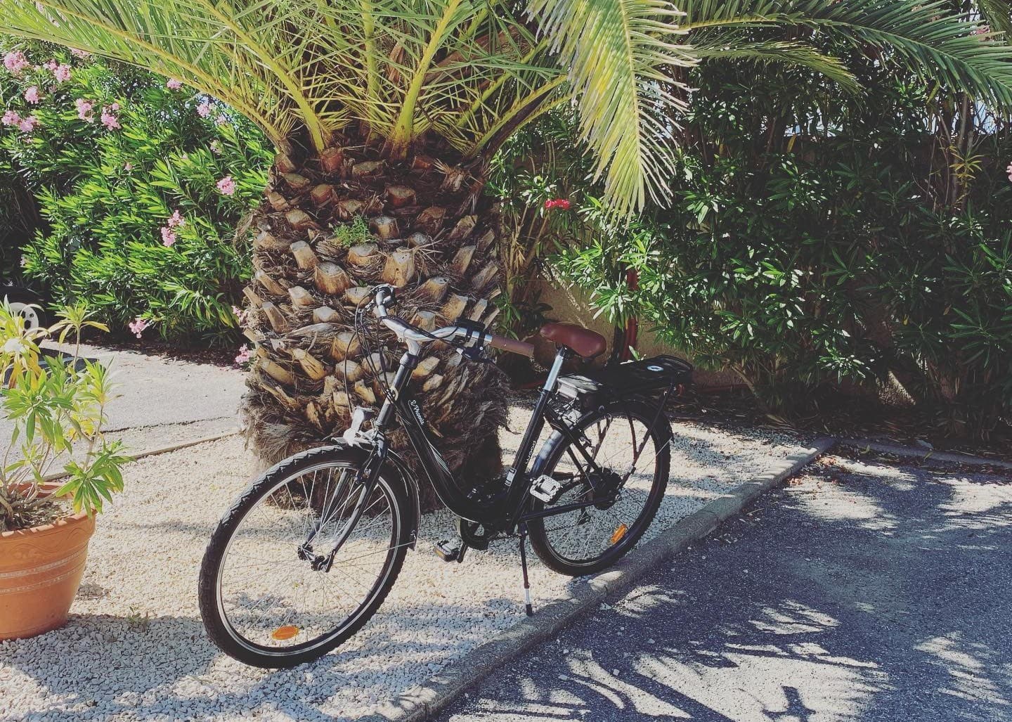 Vélo