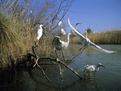 13VIS000900_1_WEB.jpg