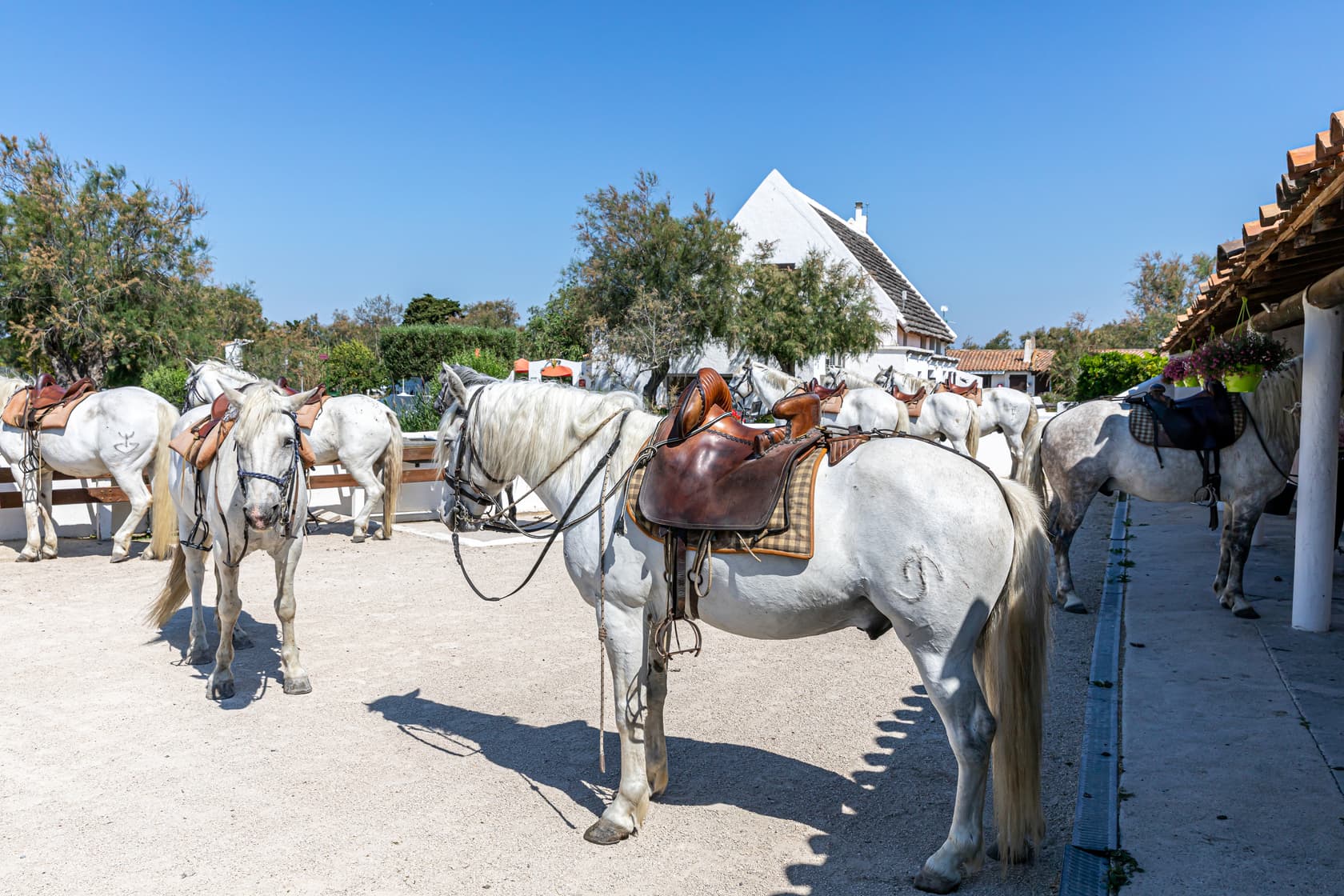 L'écurie de l'Auberge Cavalière