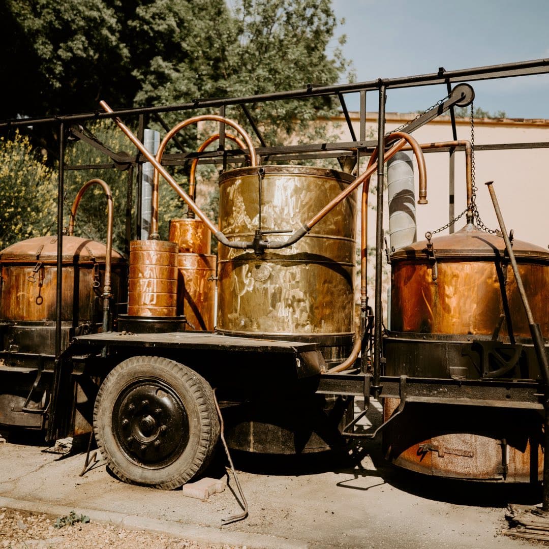 Visite guidée de la Maison Ferroni_Aubagne