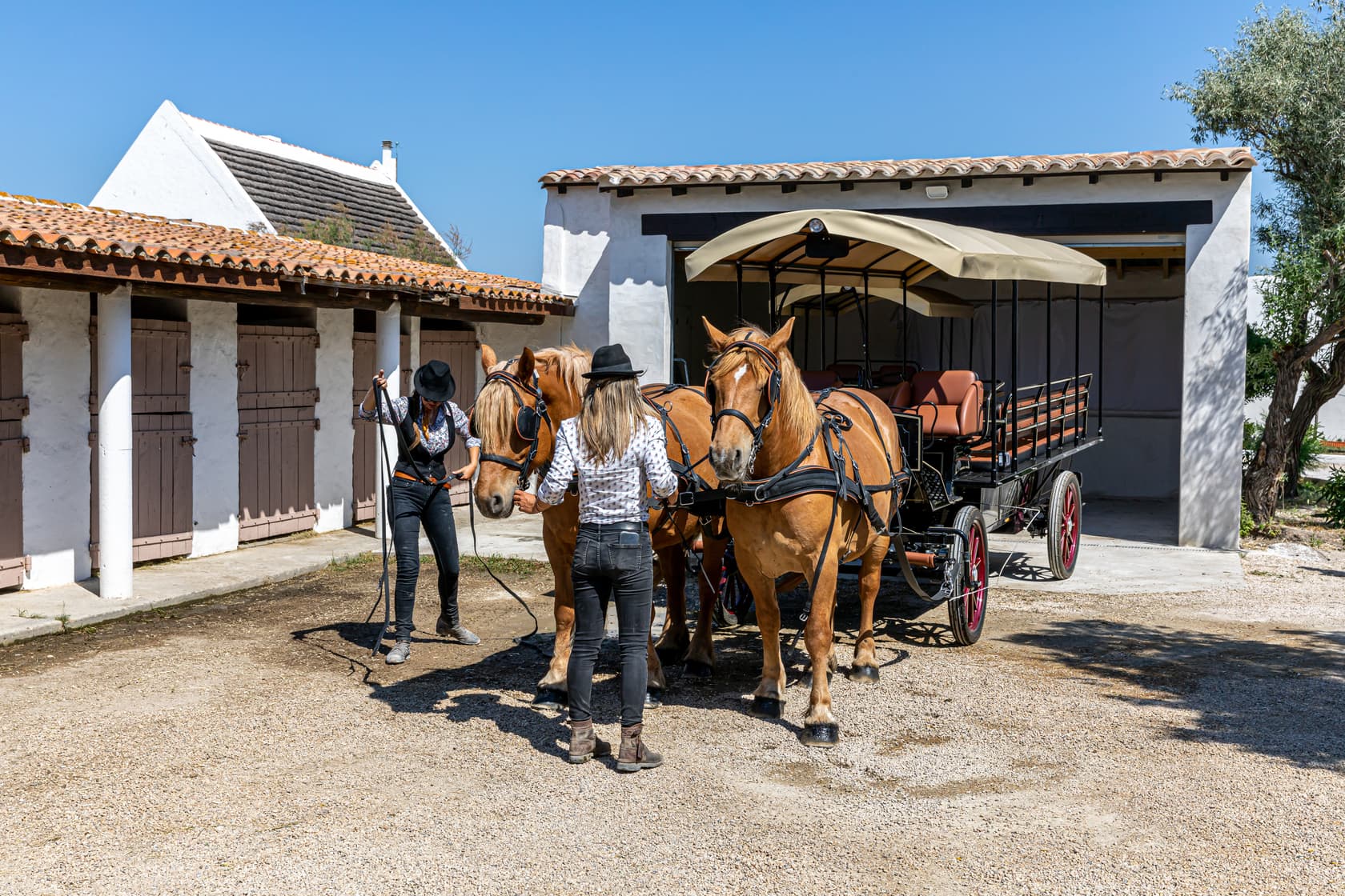 L'écurie de l'Auberge Cavalière