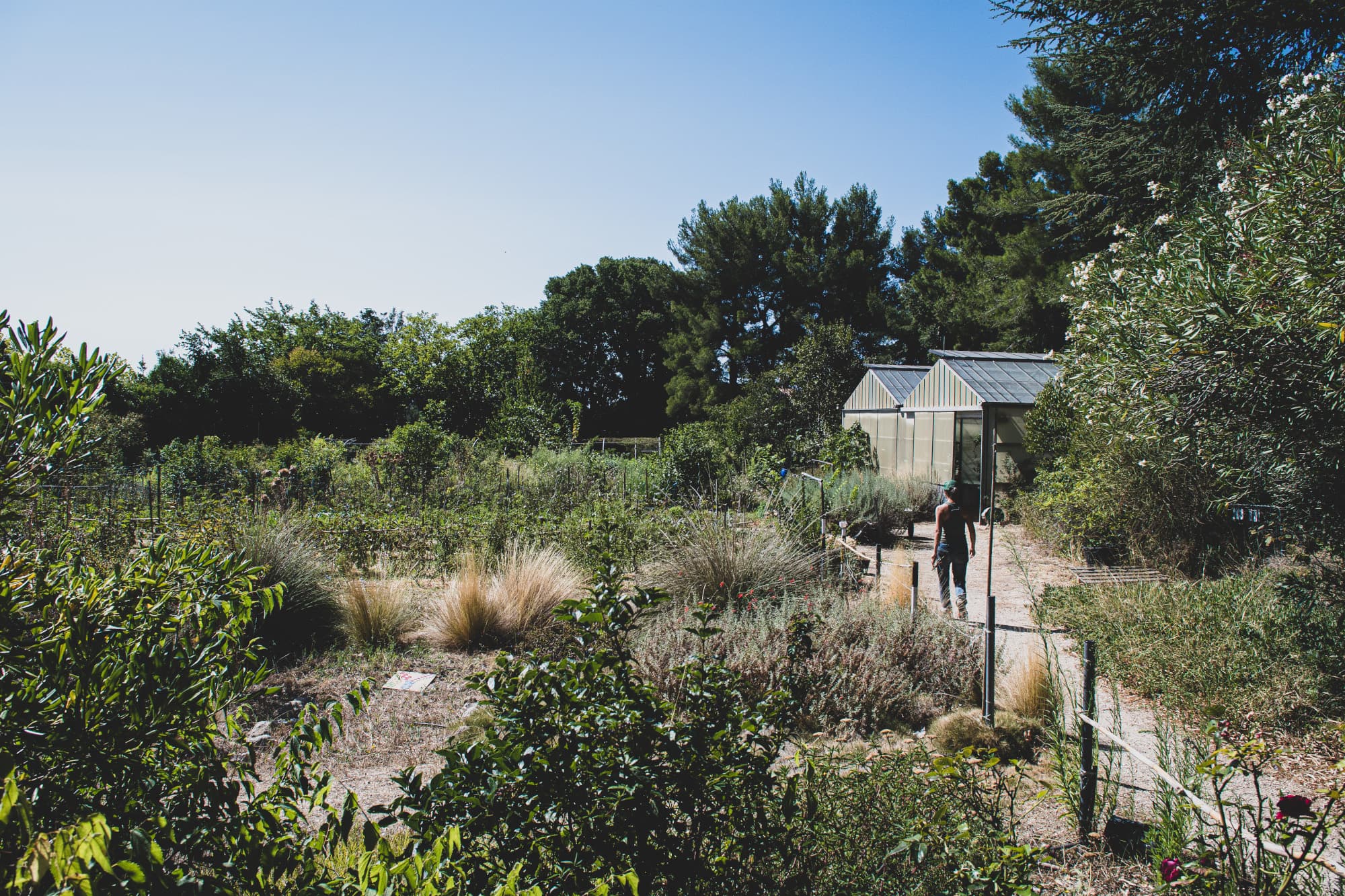 Relais-nature Saint-Joseph - Ville de Marseille