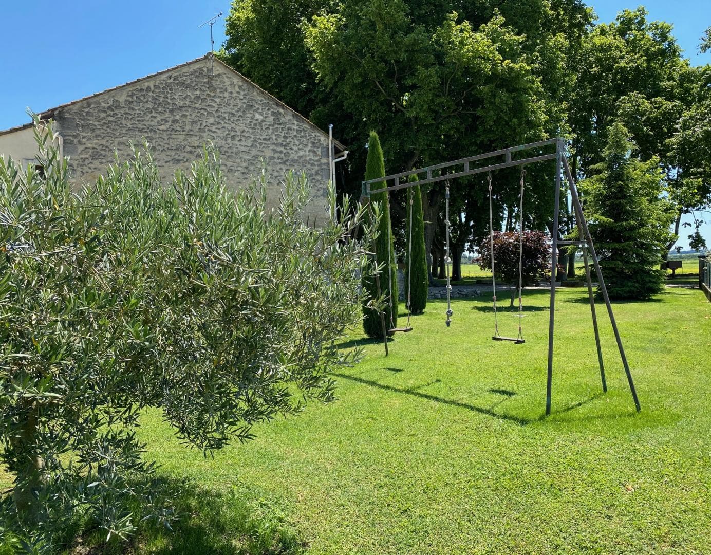 Lavande