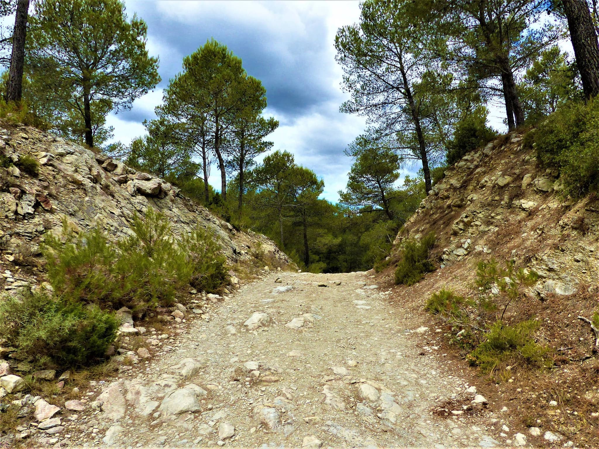 SAINT-RÉMY-DE-PROVENCE - De Saint-Rémy aux Baux