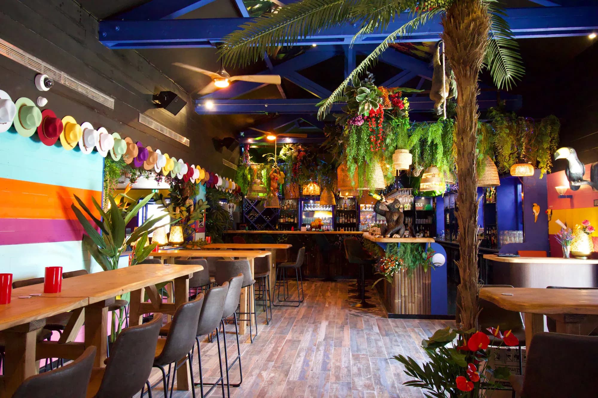 L'Havana Pub_Pertuis
