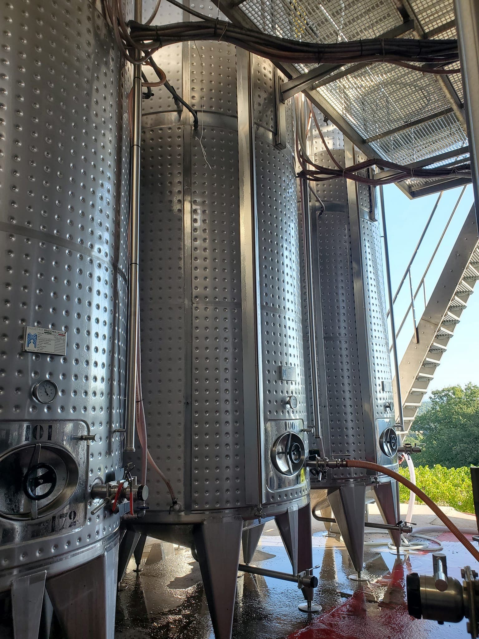 Domaine l'Oppidum des Cauvins