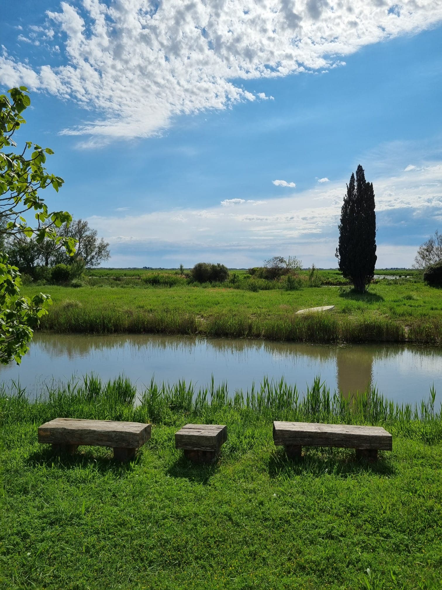 Mas du Couvin_Saintes-Maries-de-la-Mer